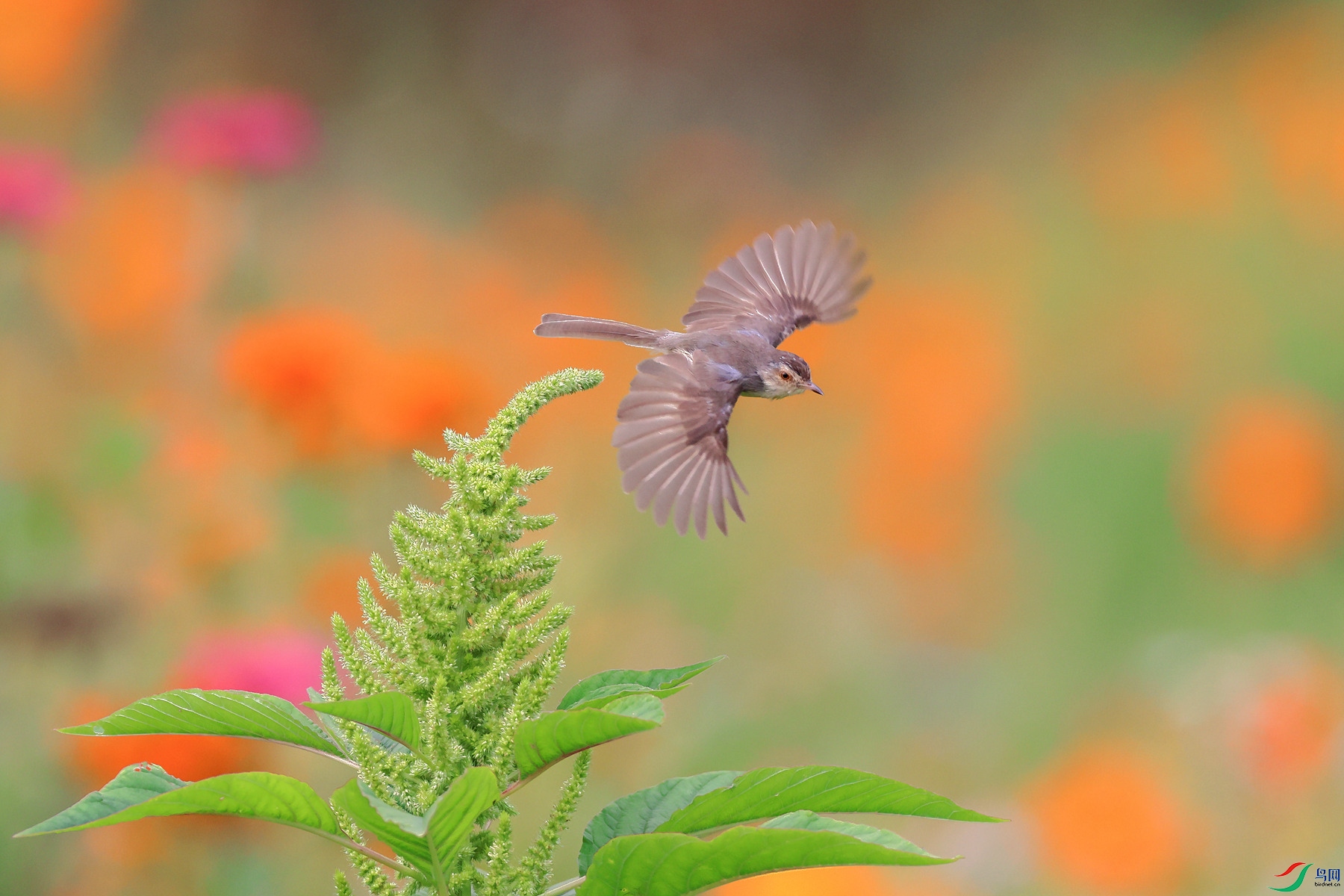 1M6A6782 ����_����.jpg