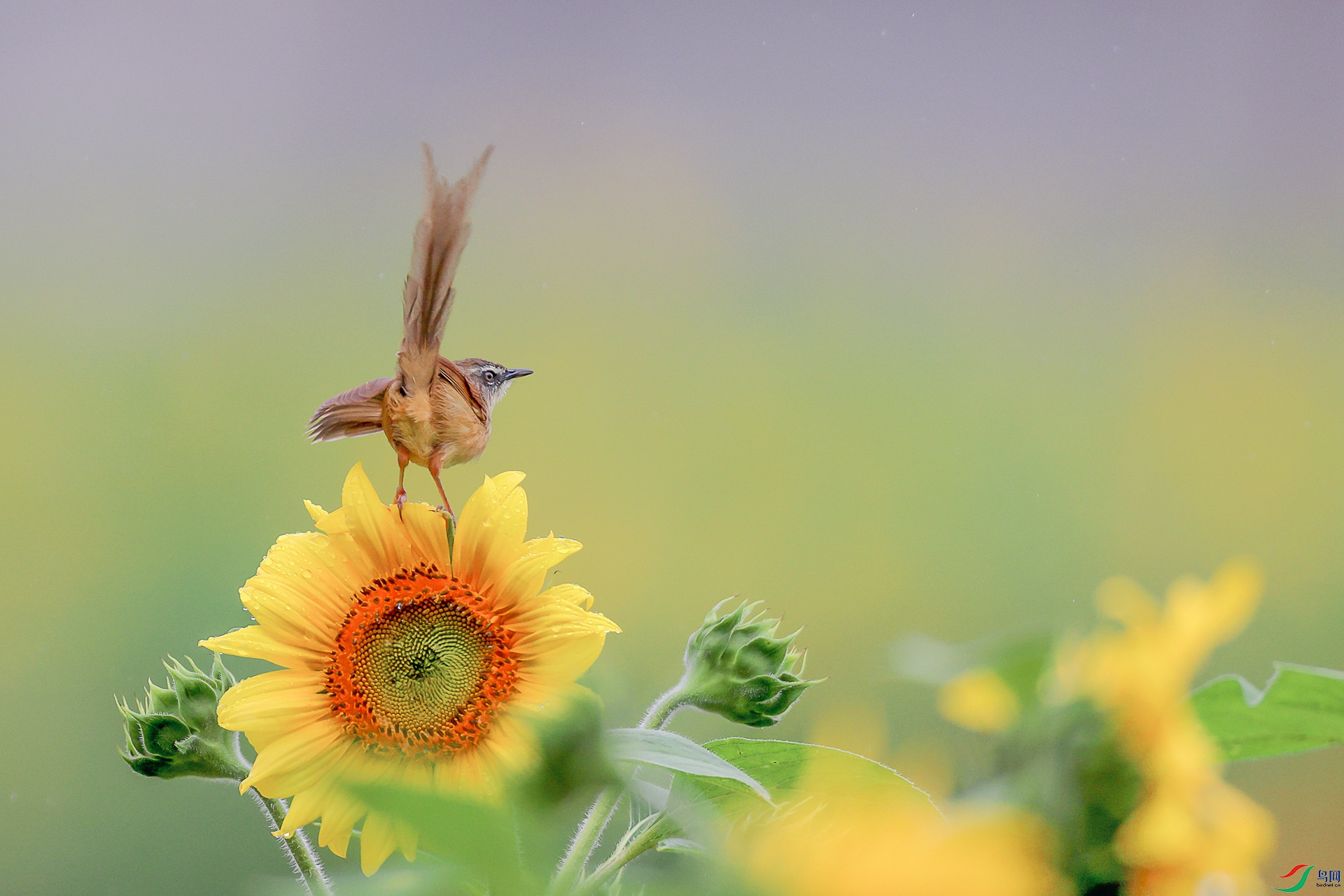 1M6A0453 ����_����.jpg