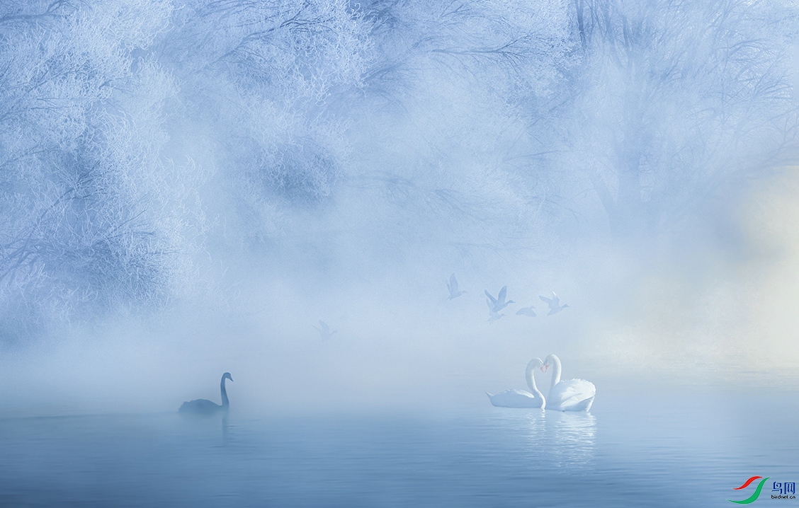 _T6I0096 ����1-�ָ��� ����.jpg