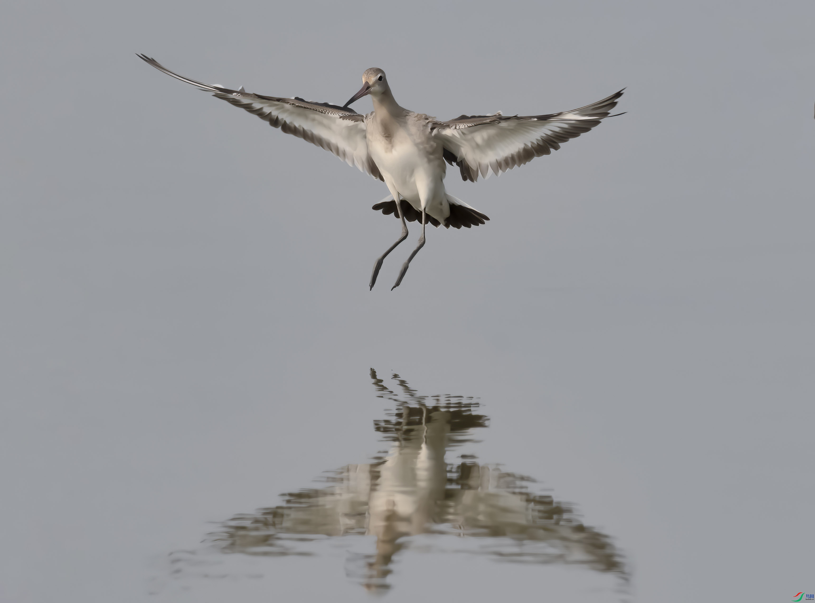 ��β����