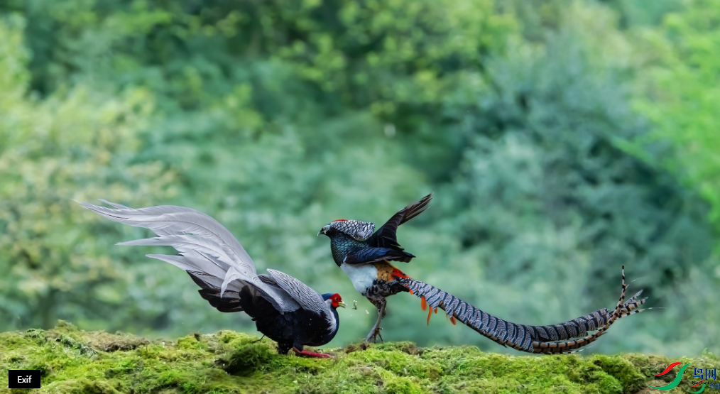 СС�ո� ż������ҳ������9.4.png