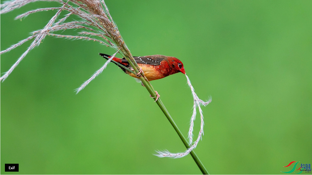 СС�ո� ˭�ֲ��������裨��ҳ������9.4.png