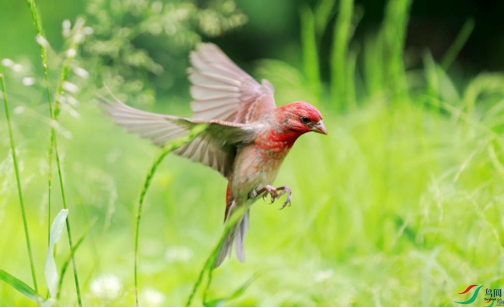 �µ�1 Ư������ȸ����ҳ������9.7.png