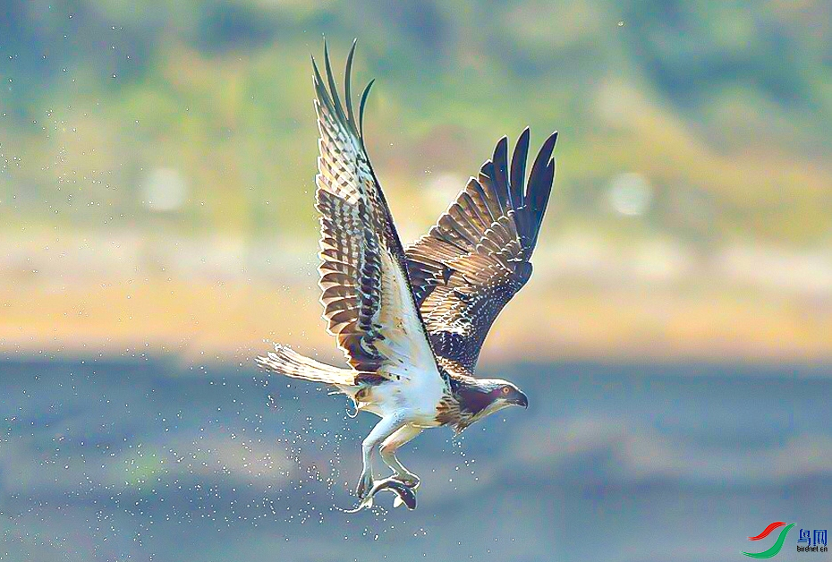 ���ִ�Į���� ץ��ؼң���ҳ������9.13.png