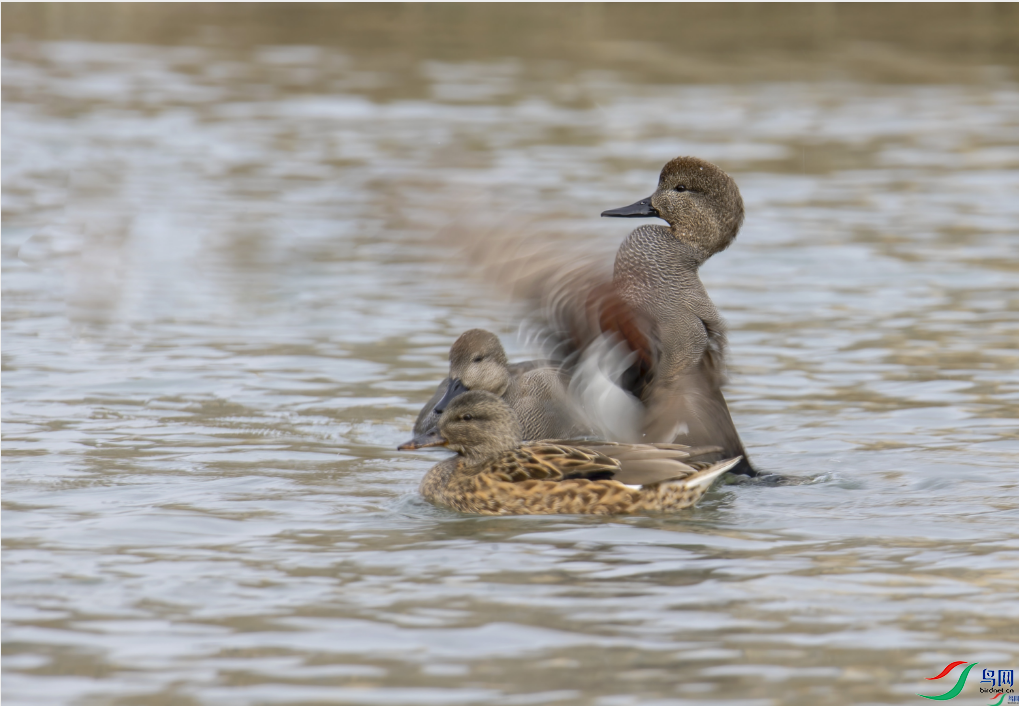 �泩���� ���Ѽ����ҳ������9.14.png