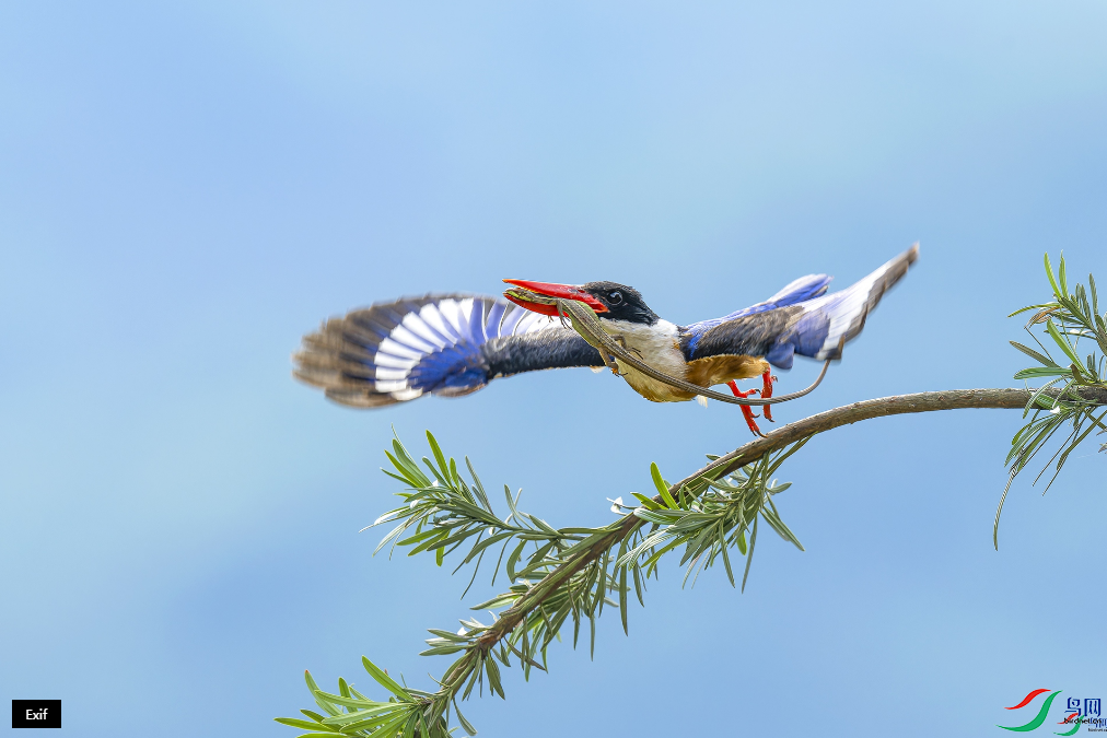 ���ϴ� ������ͣ���ҳ������9.14.png