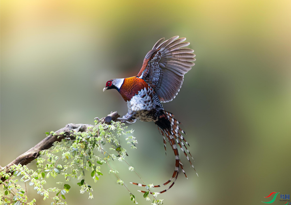 ���ִ�Į���� ��׮����ҳ������9.18.png