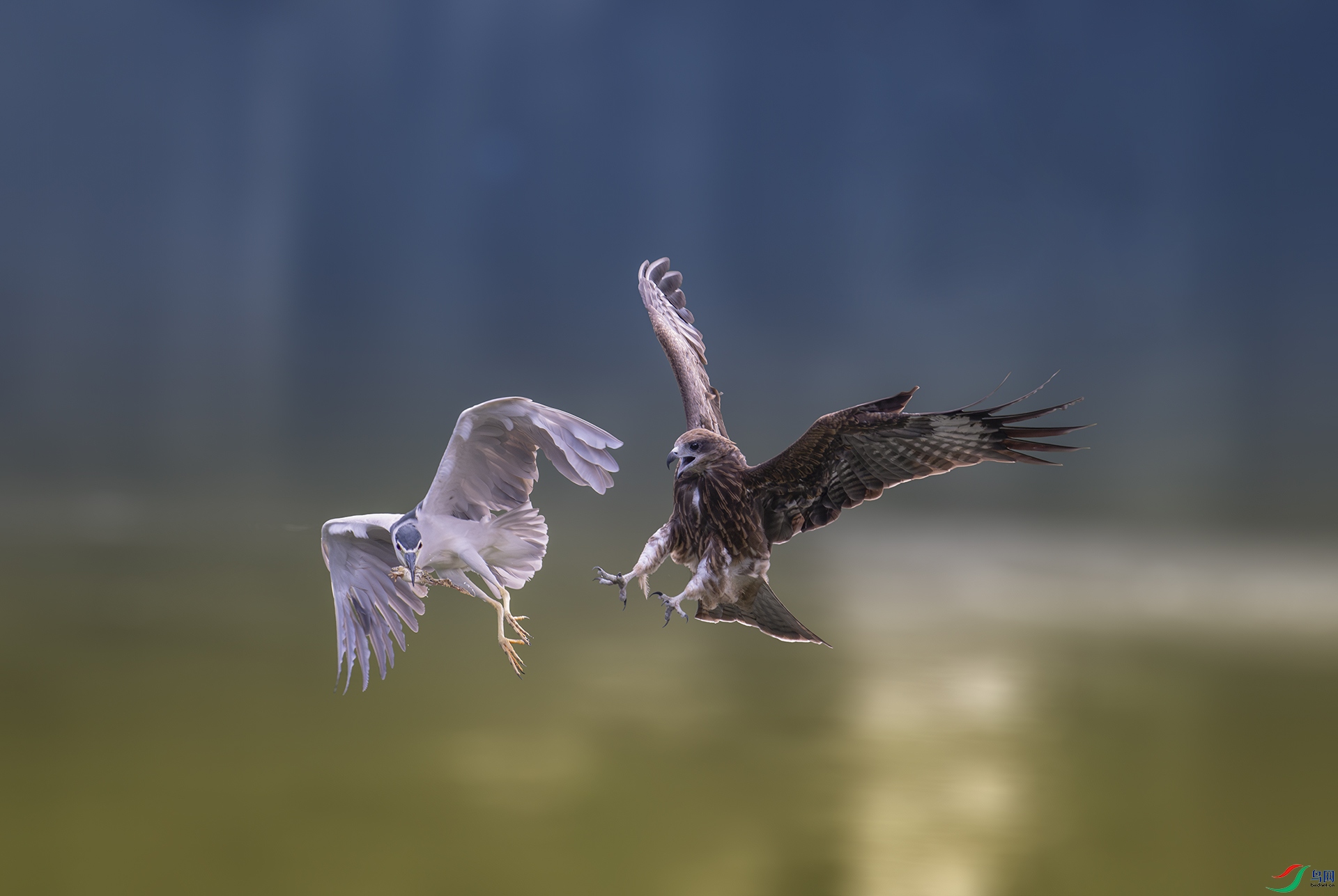 DSC_2611-����ǿ-NR ���� 2.jpg