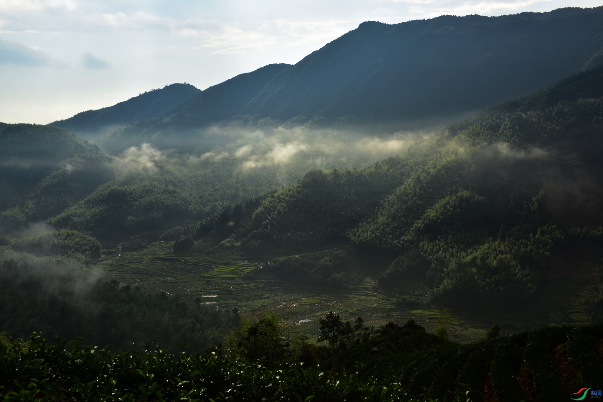 D8I_2534.jpg