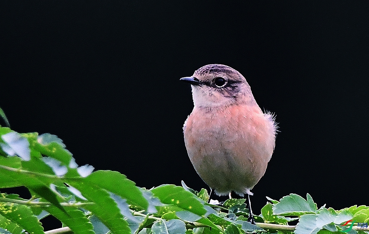 DSC_2201.JPG