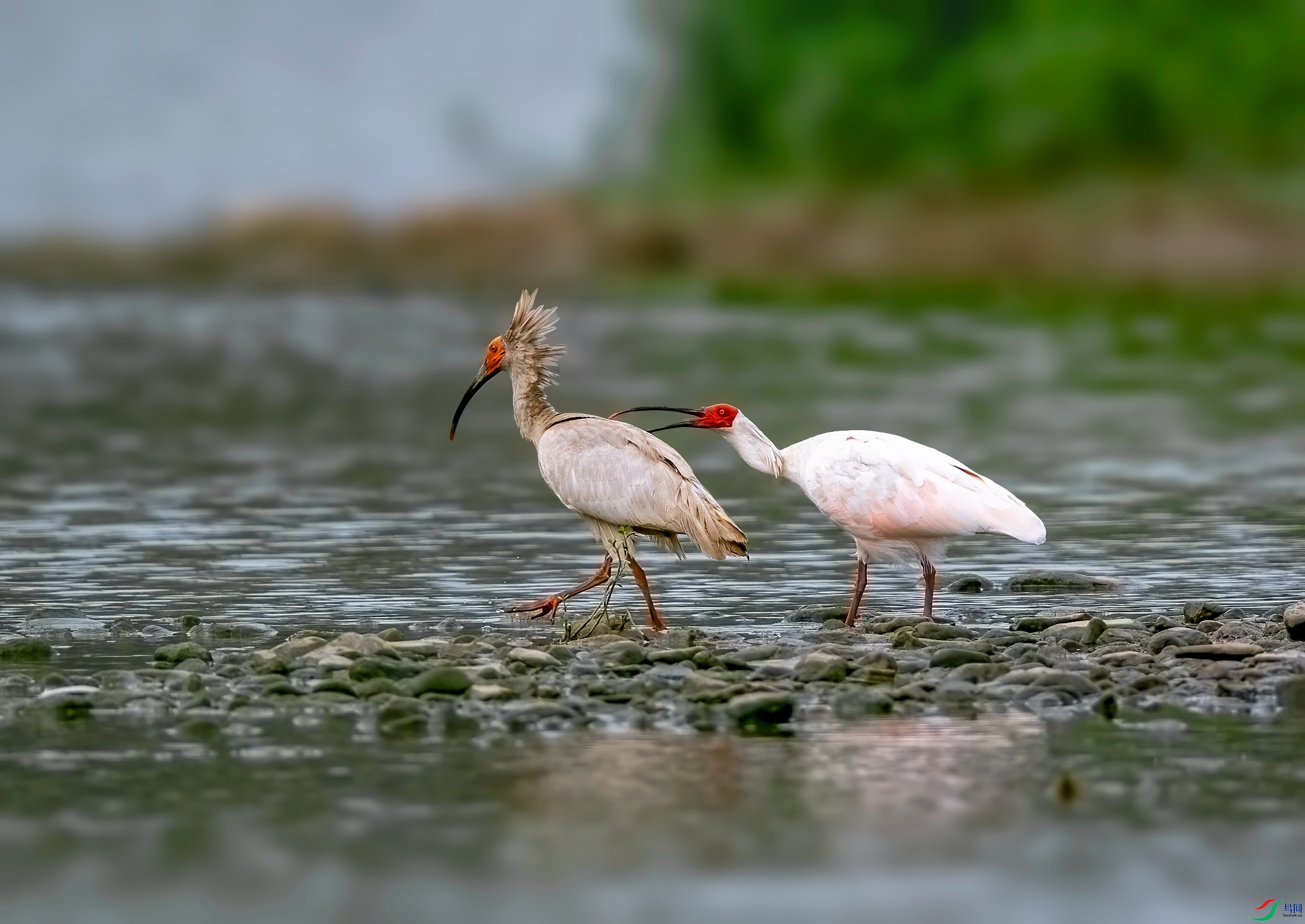 DSC_1541 ����v_����.jpg