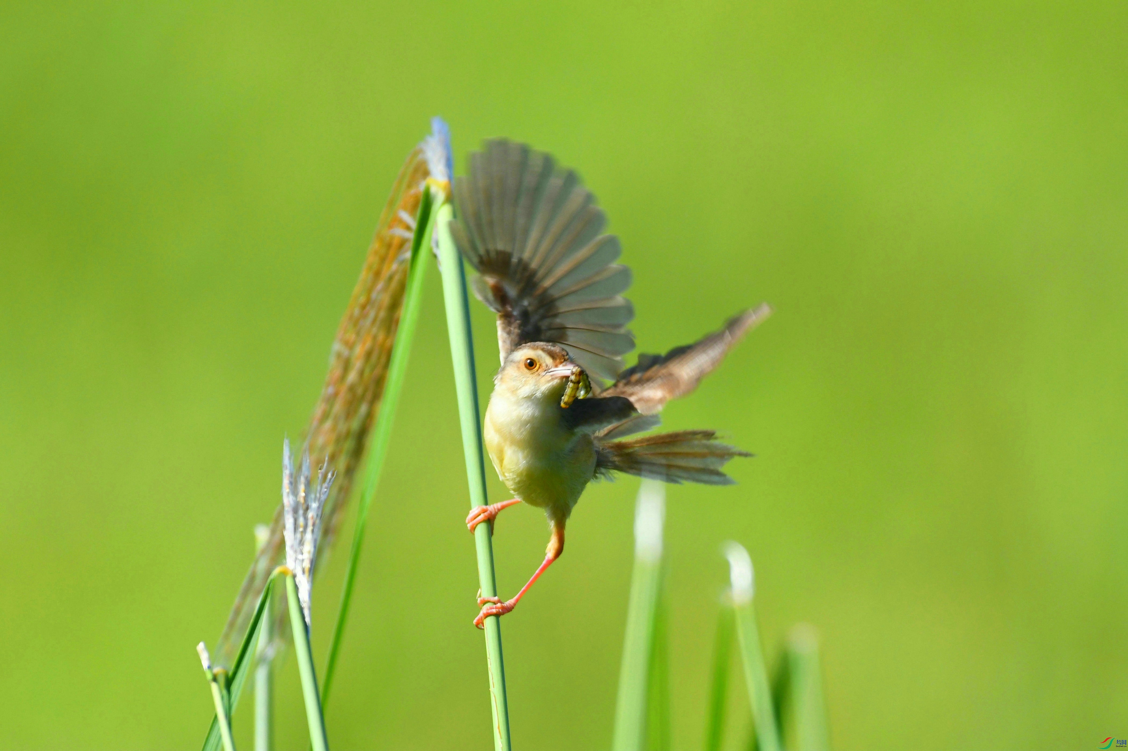DSC_0574.JPG
