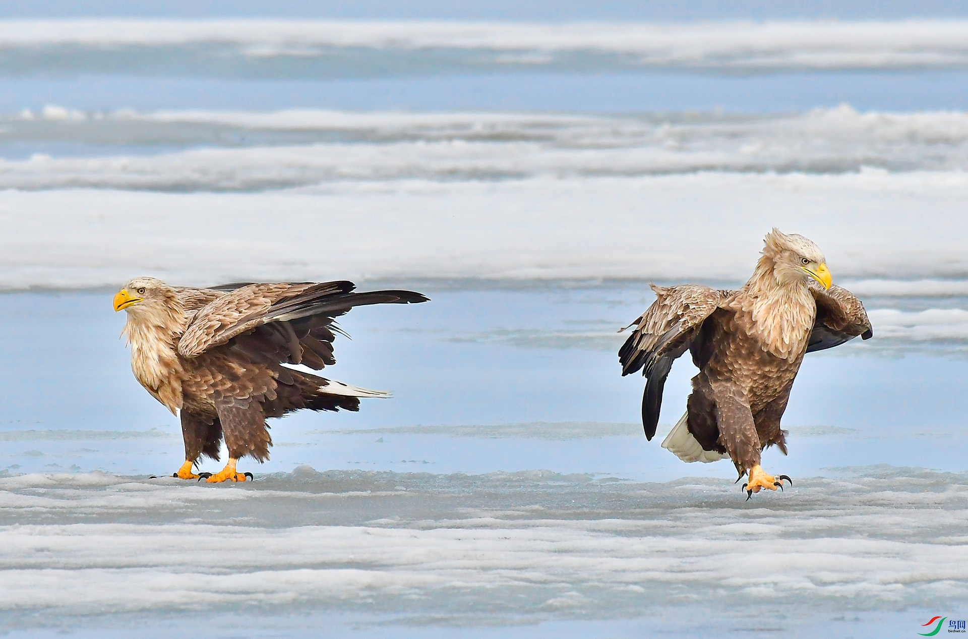 DSC_7405 -1.jpg
