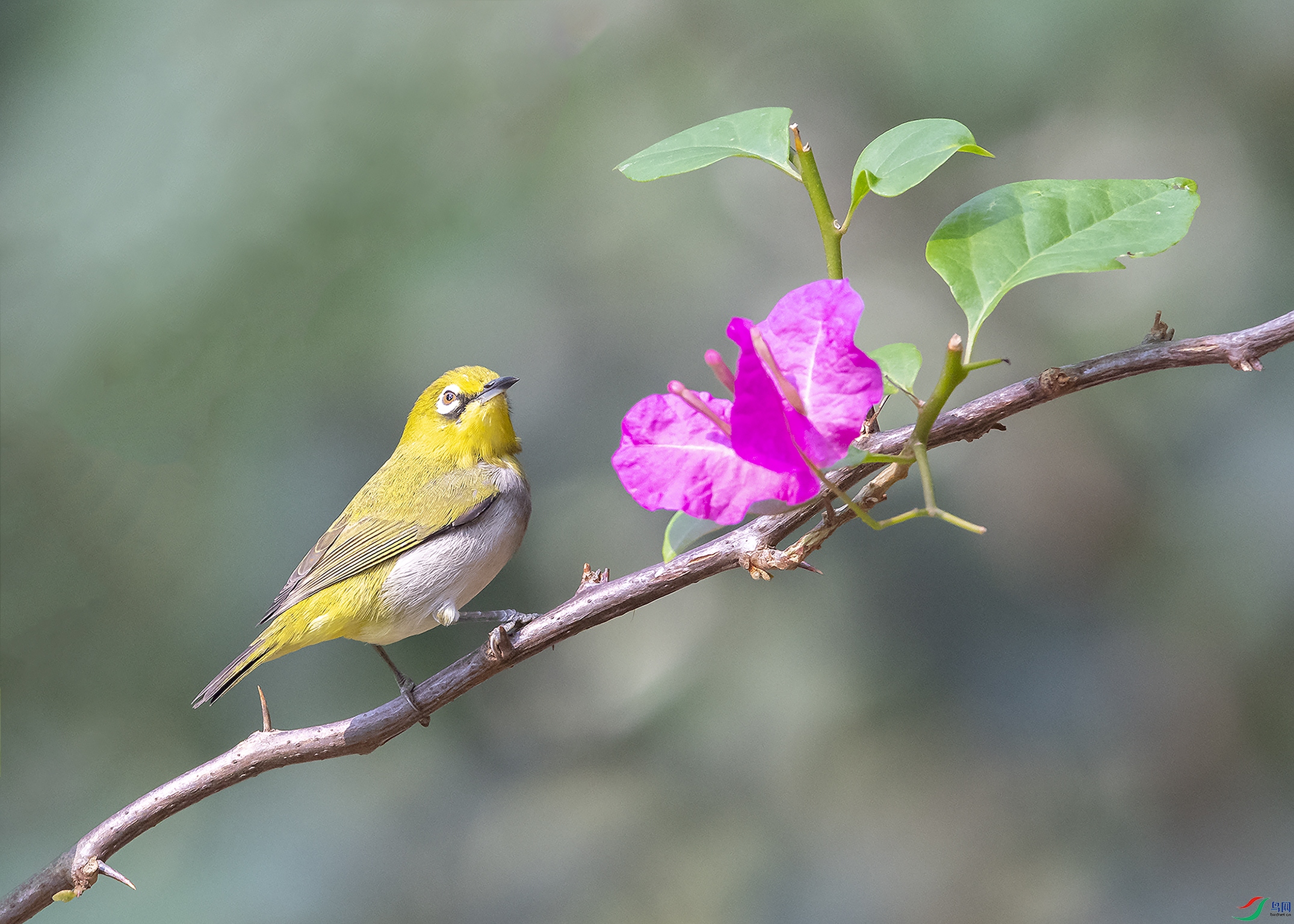 6732 ����.jpg