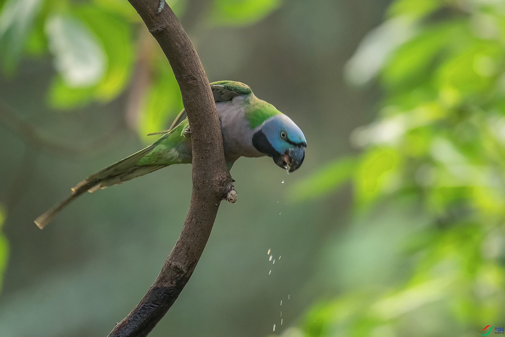 DSC_1407.jpg