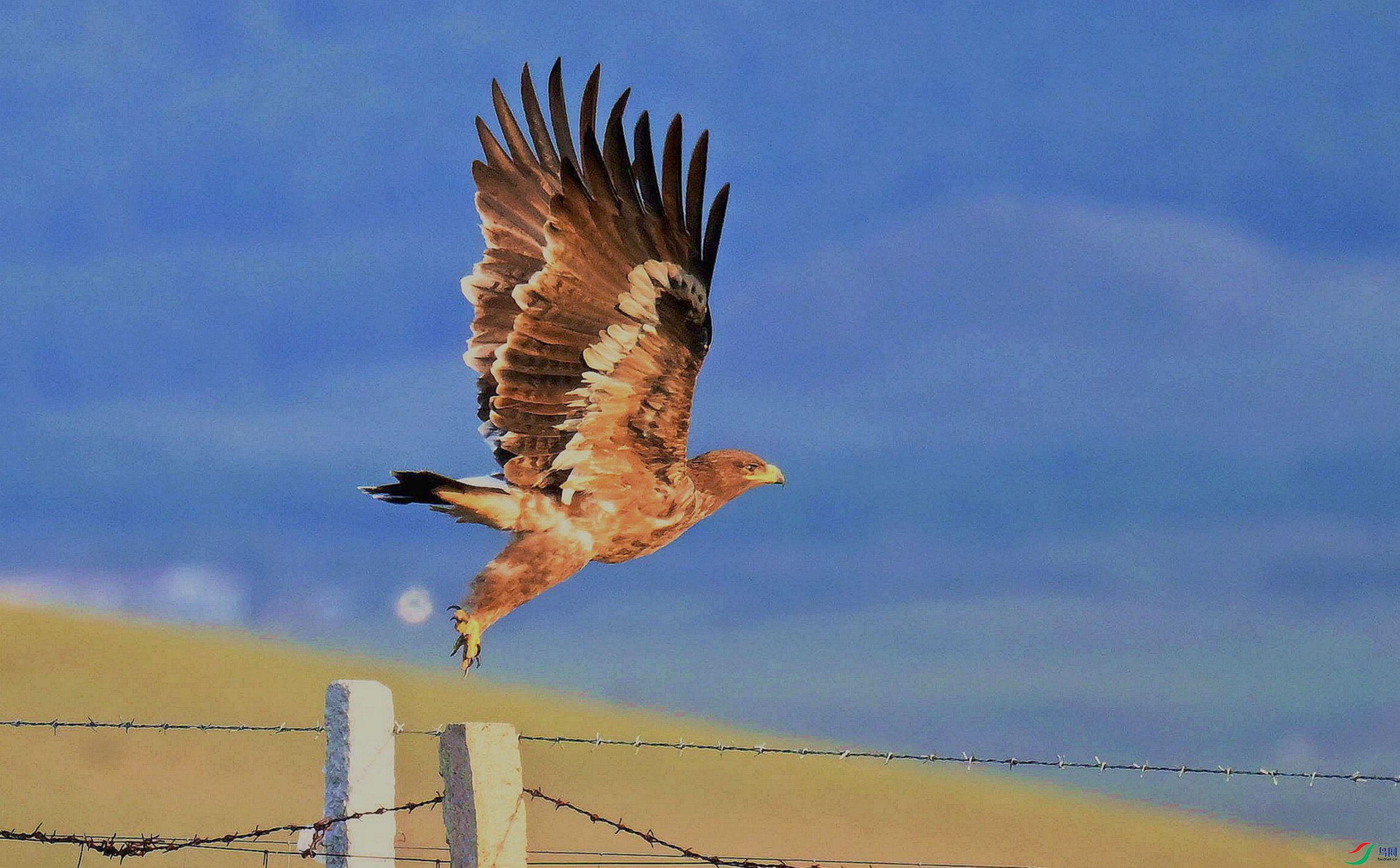 ������⡣