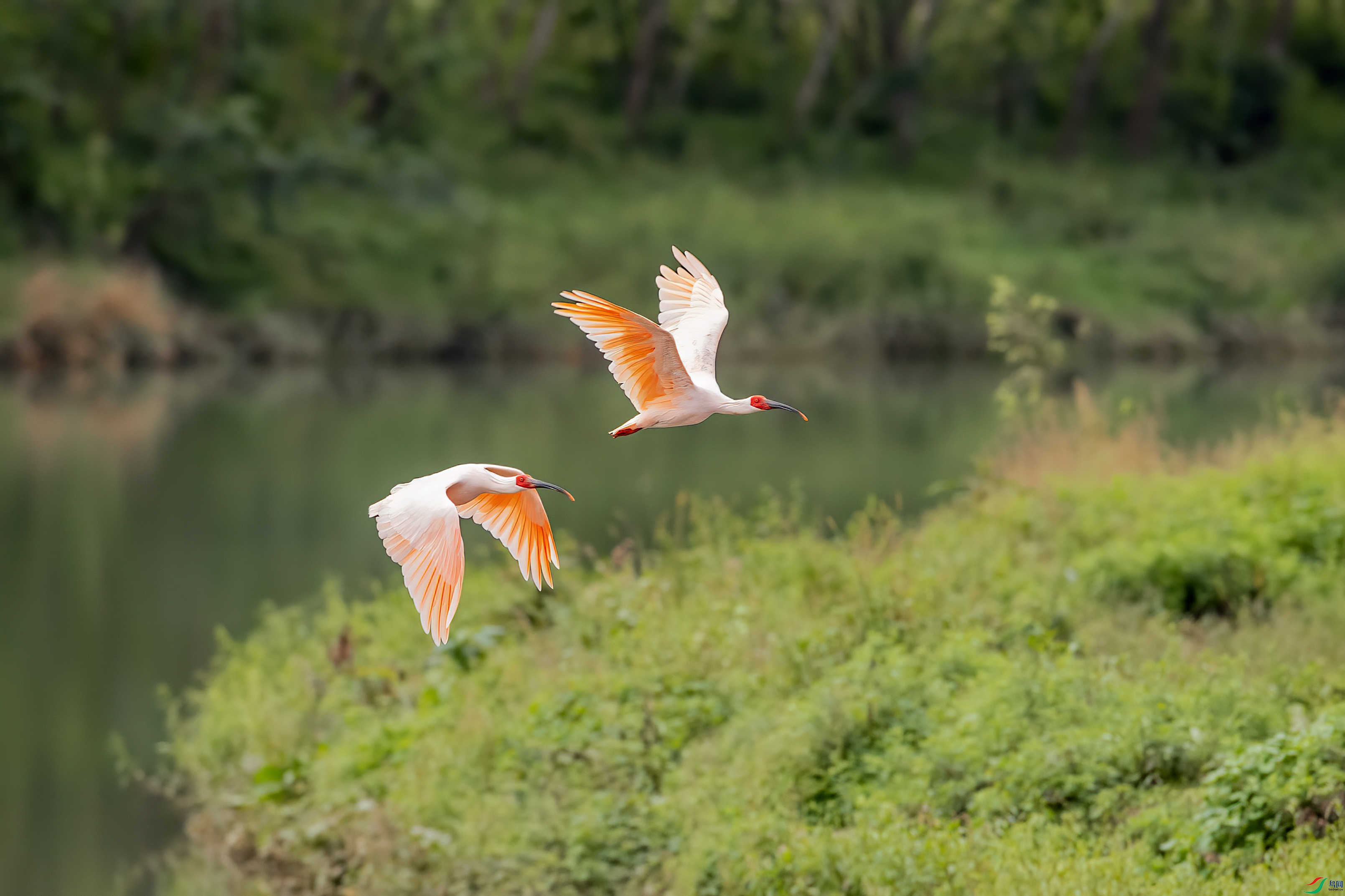 DSC_3576.jpg