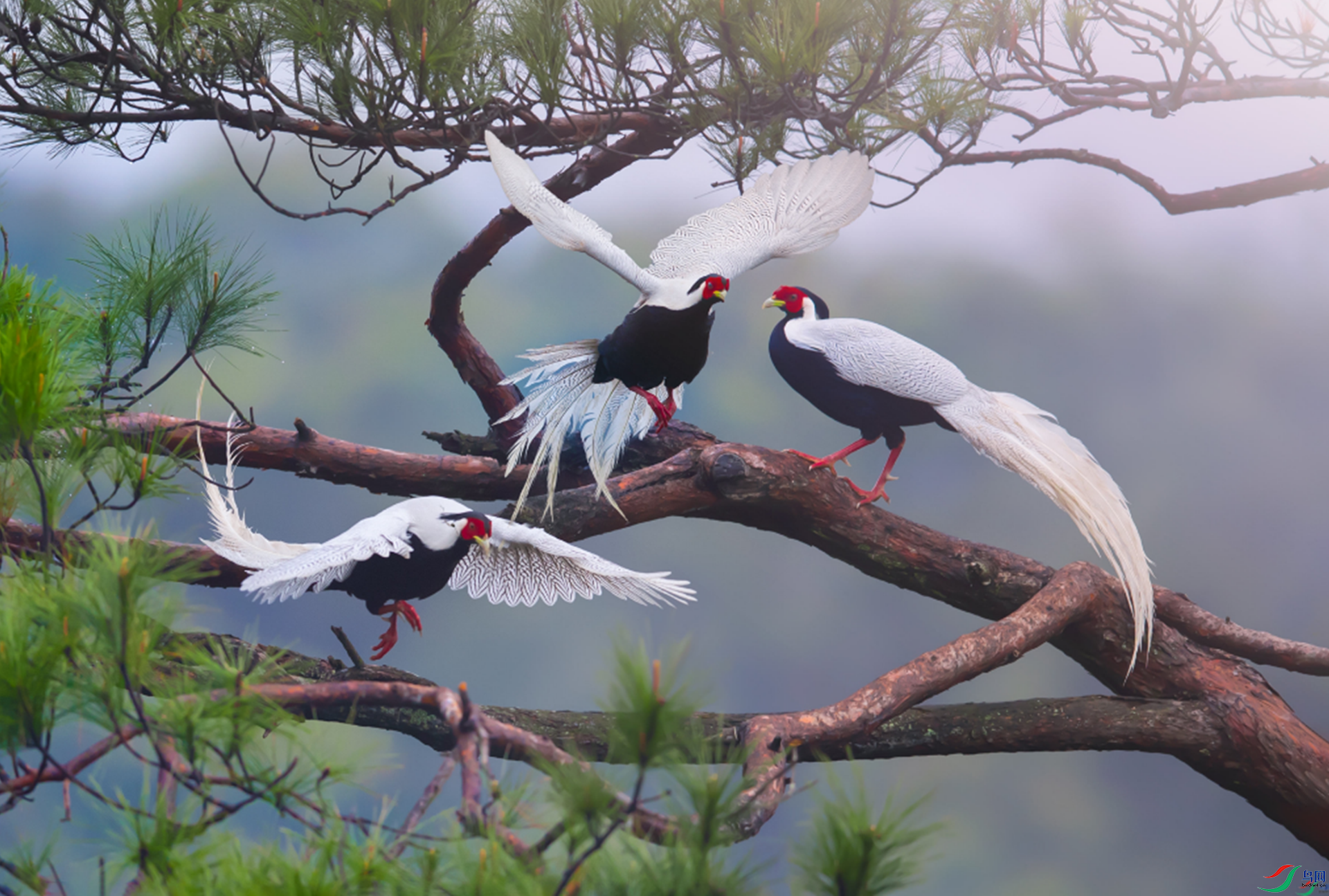 ���ִ�Į���� �ۻᣨ��ҳ������9.19.png