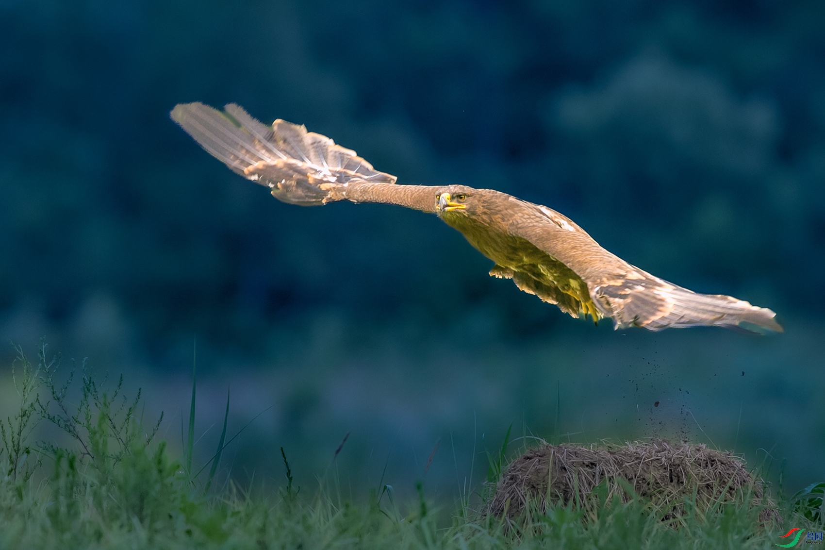 ��ԭ��----չ���ڷ�