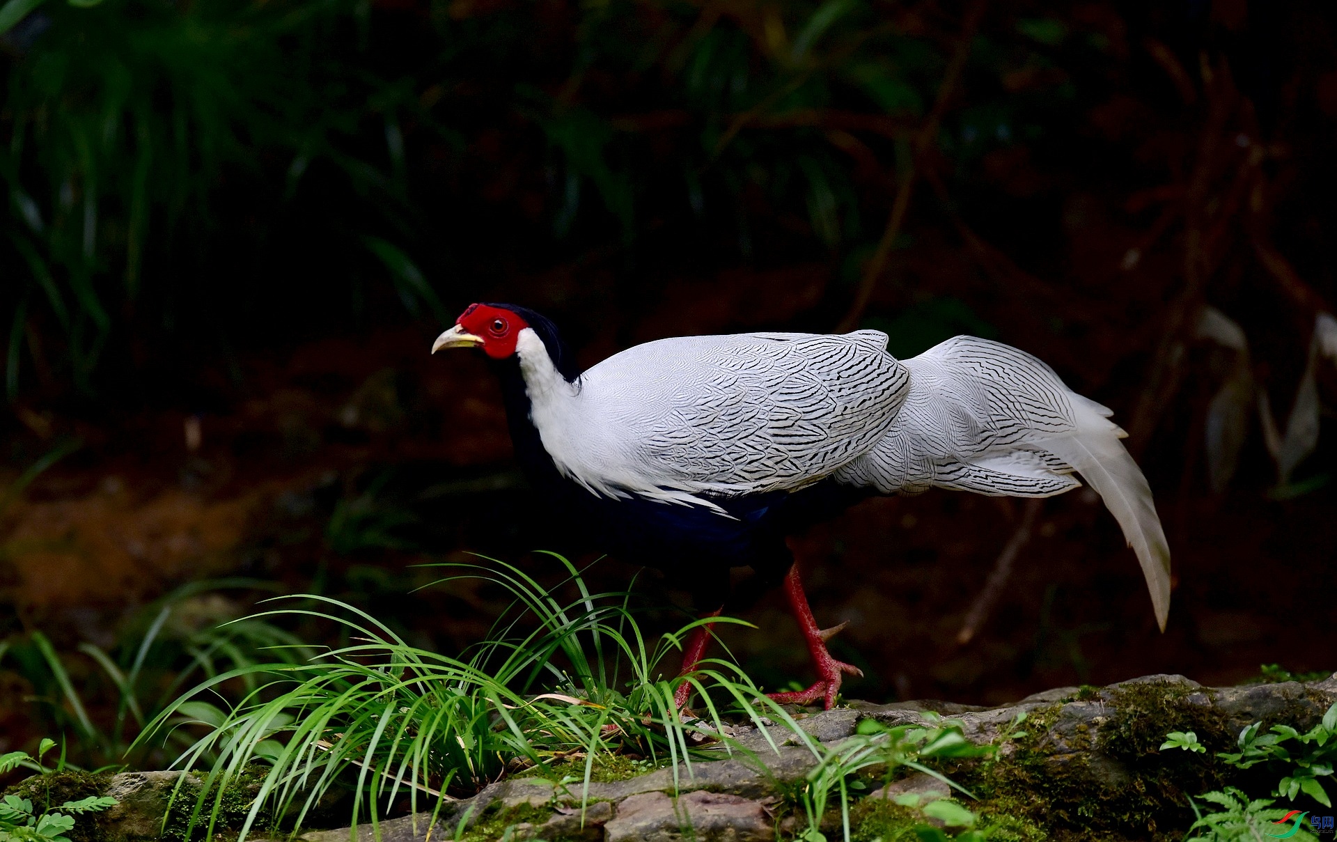 D8I_2568.jpg