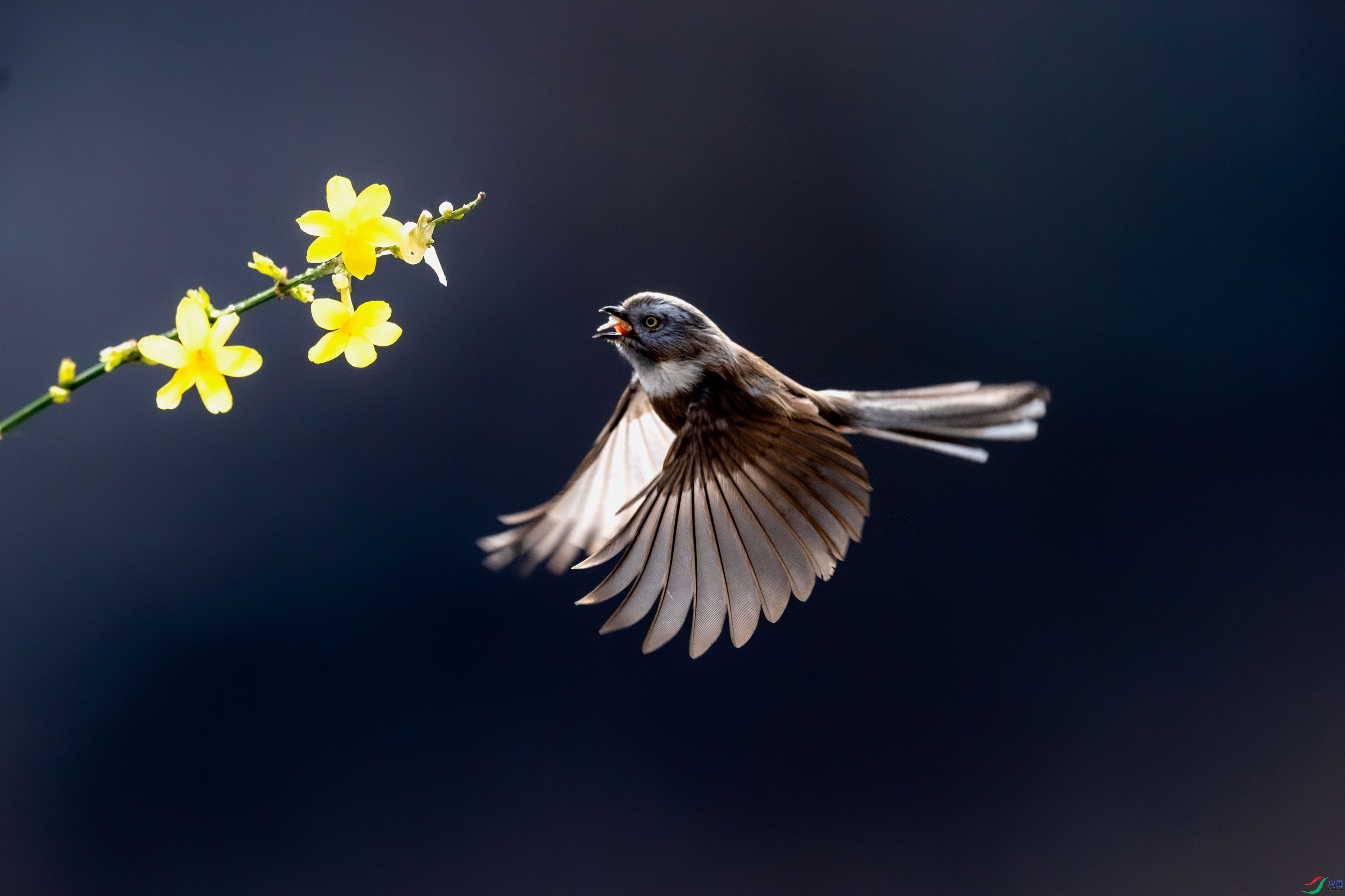 AAE_5769.jpg