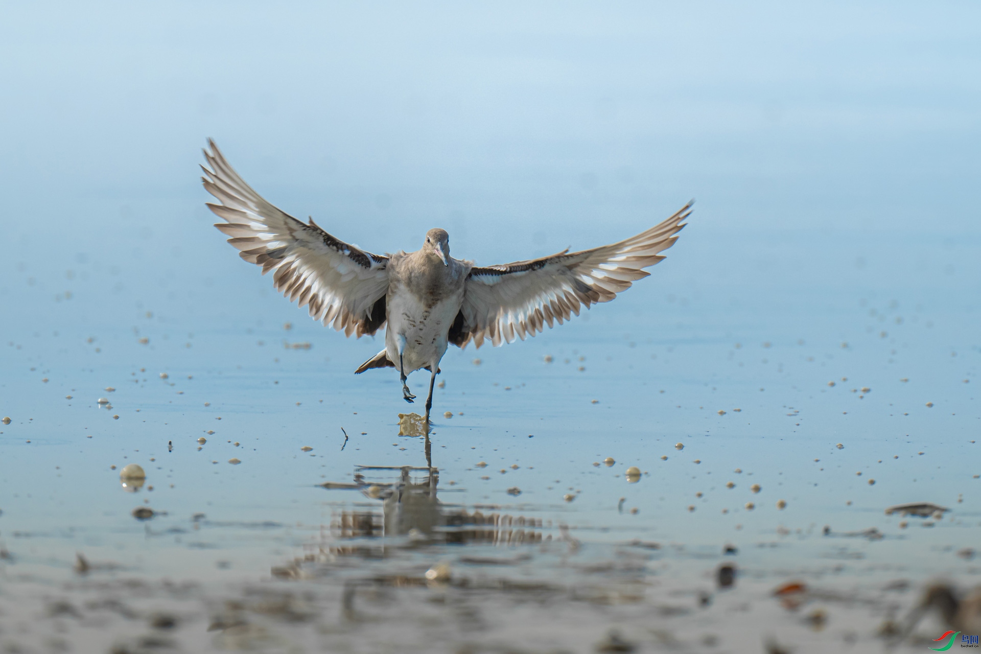 ��β����