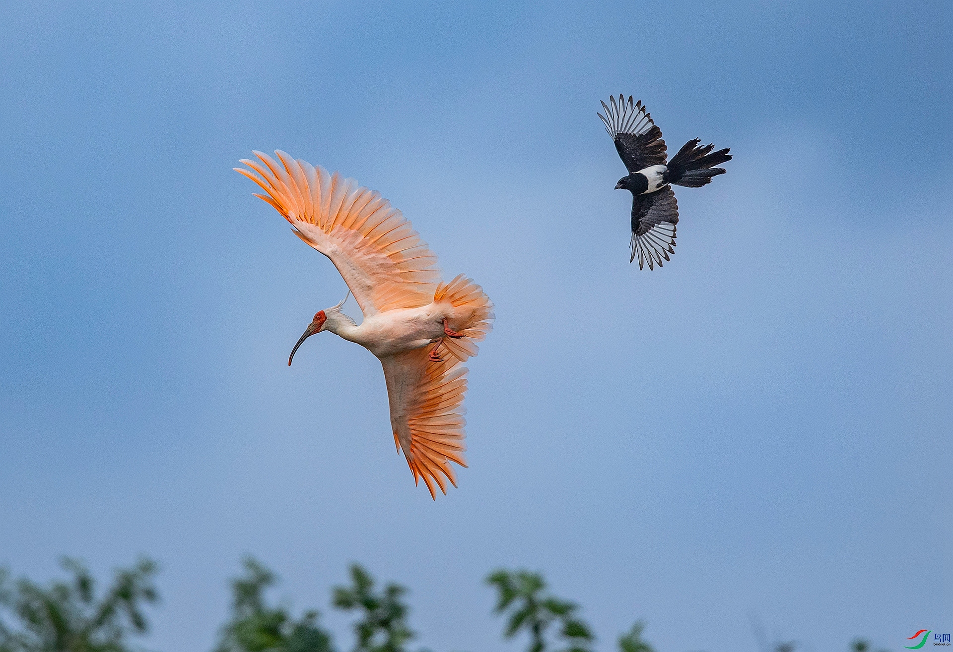 DSC_3162 ����_����.jpg