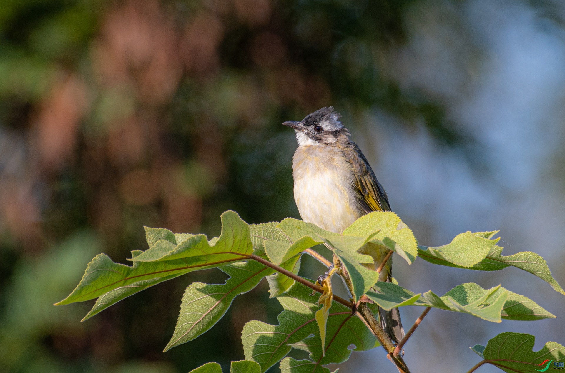 DSC_1488.jpg