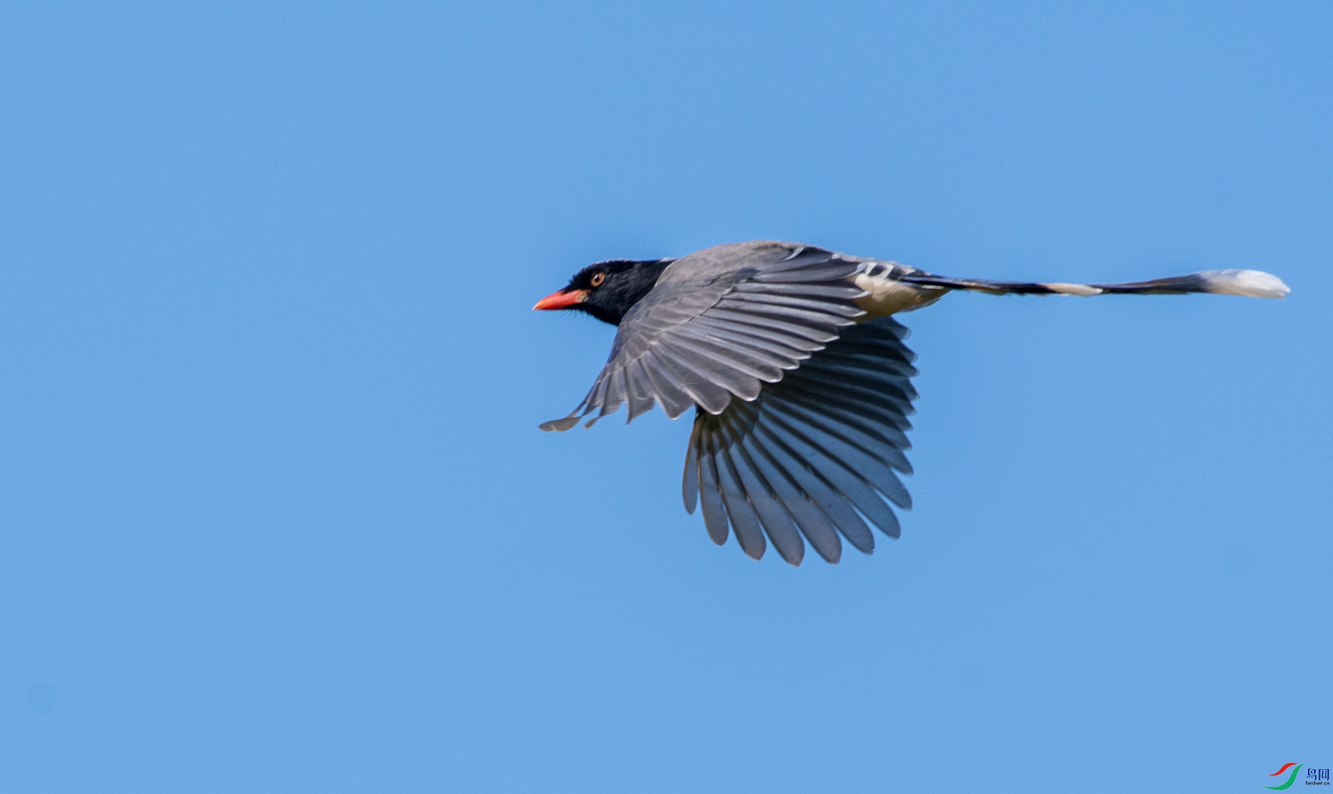 DSC_1544.jpg