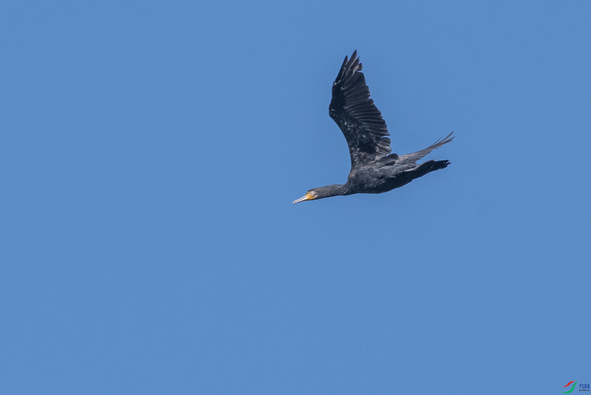 DSC_1569.jpg
