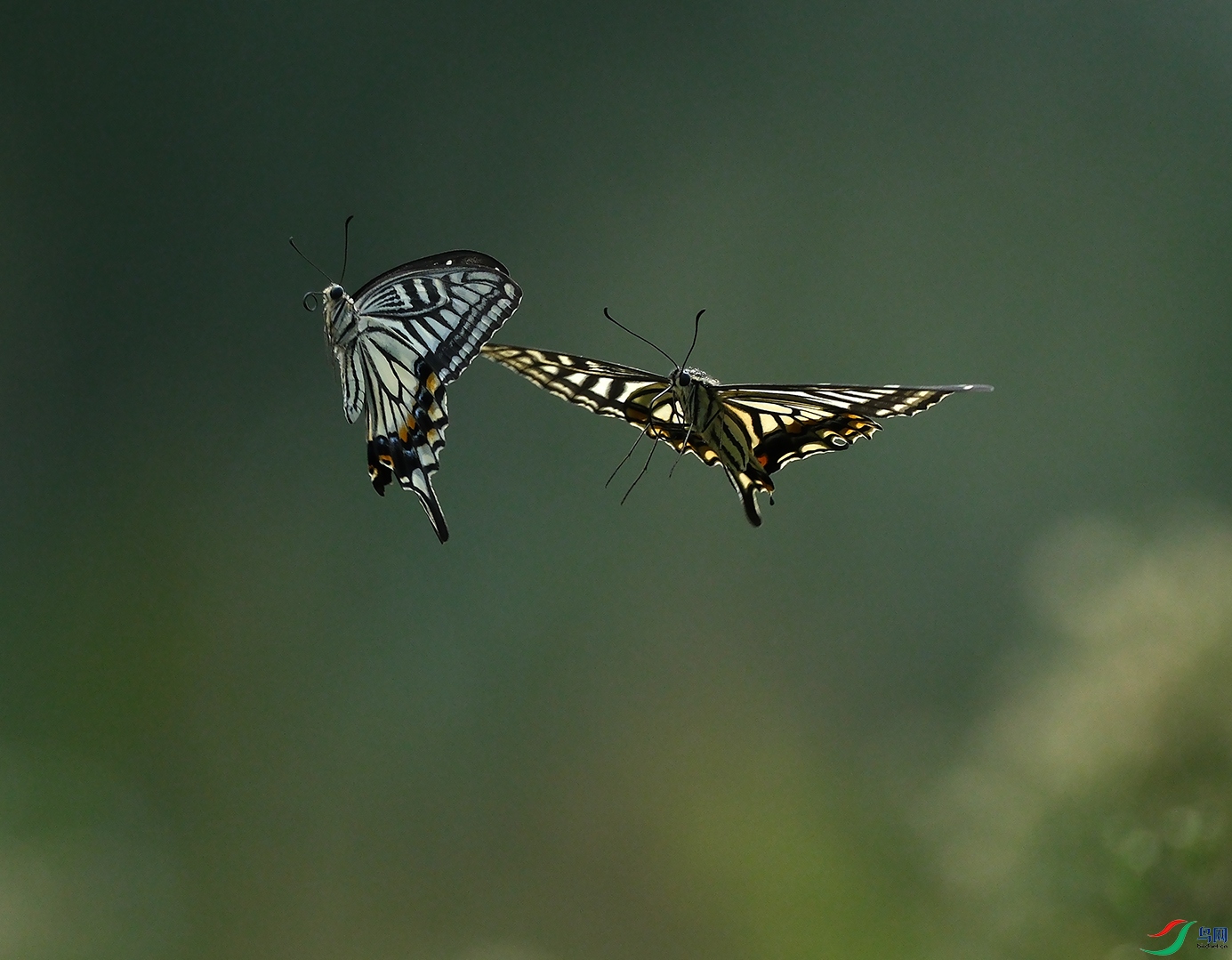 DSCF4746.JPG