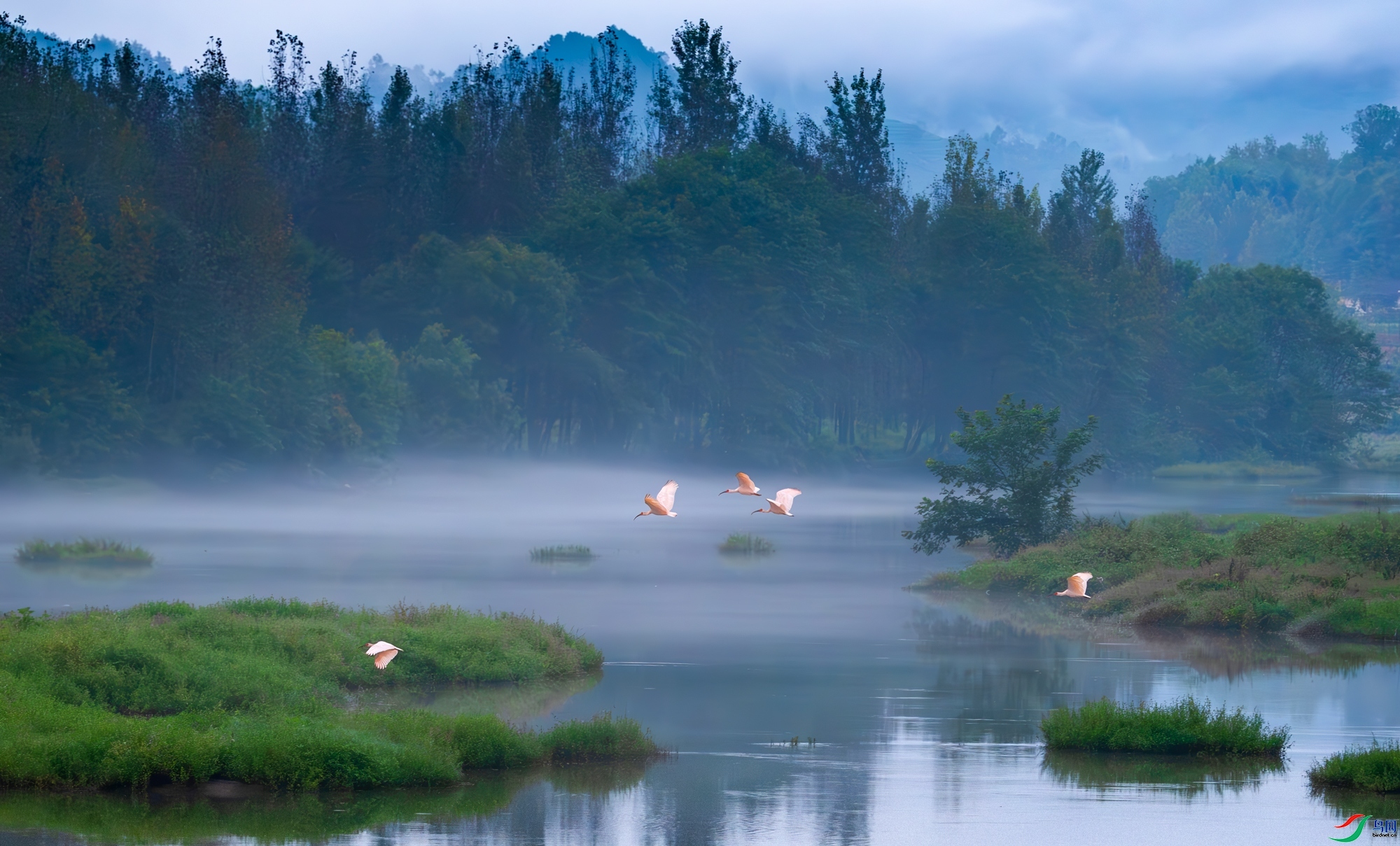 9.16����������ʦ��Ʒ   ��������Ȼ   �ٻ�2023��9��16��ÿ�ռ���.jpg