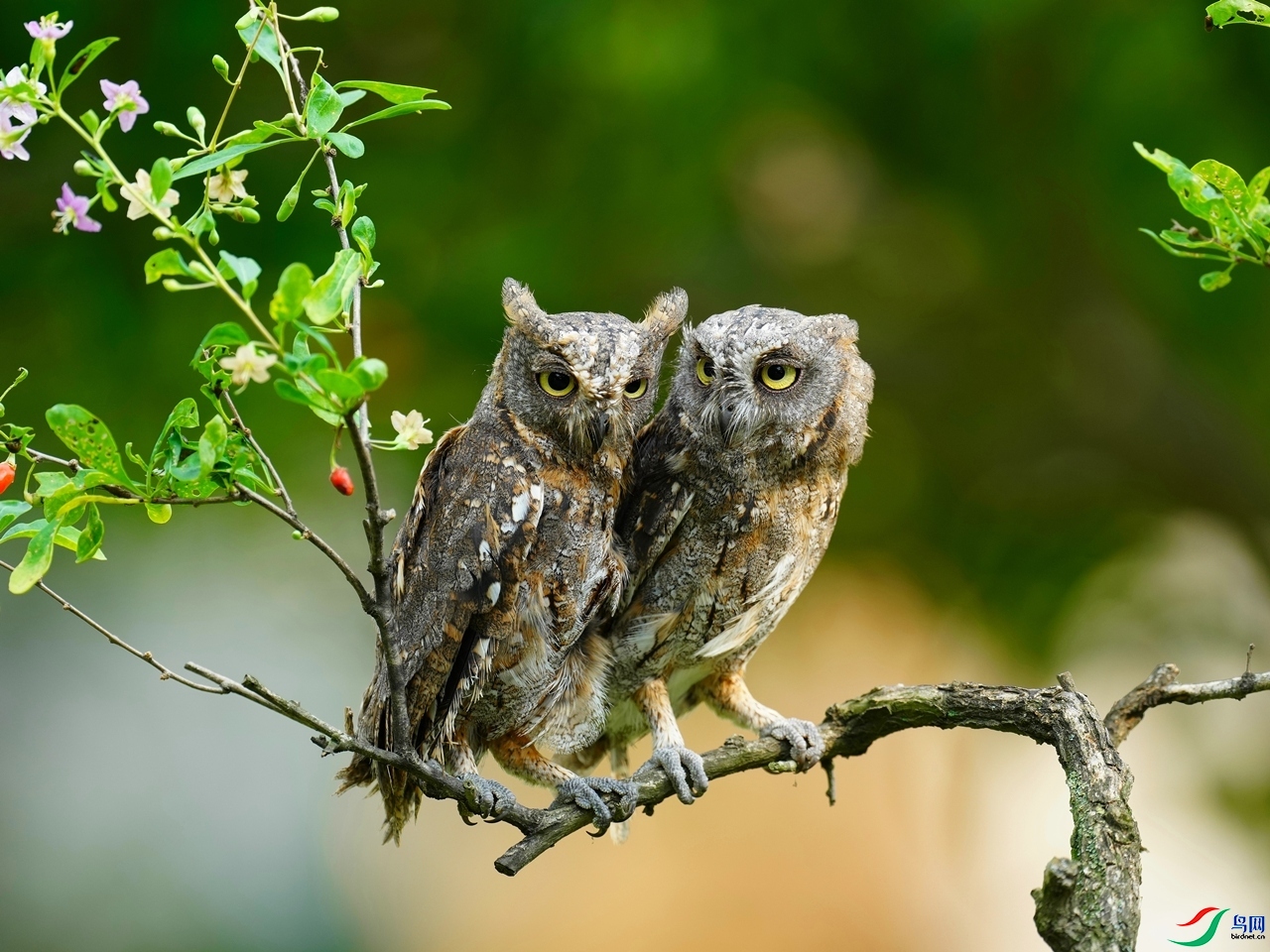 9.16��ƽ��ʦ��Ʒ   �������������^   �ٻ�2023��9��16����ҳ����.jpg