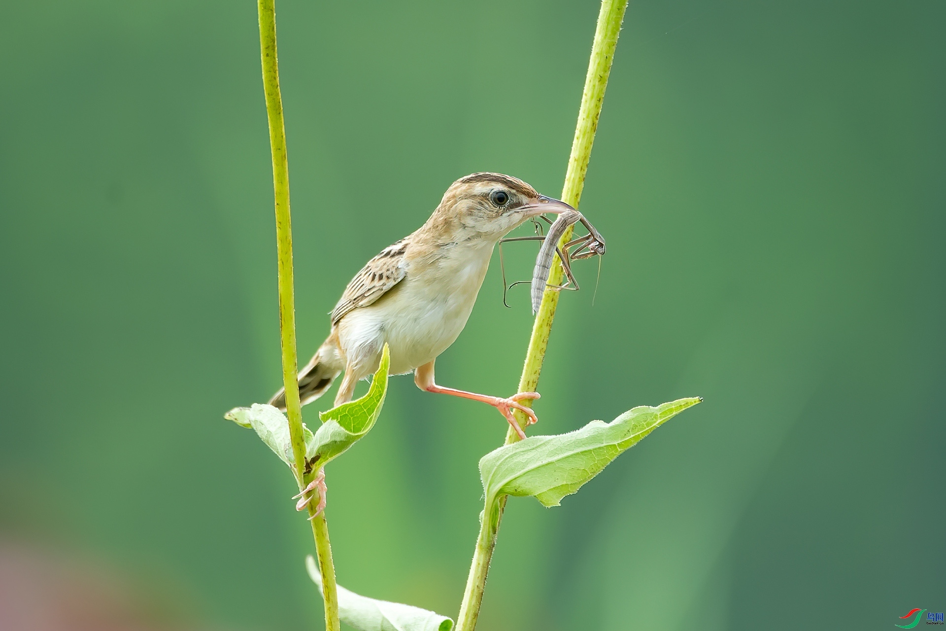 9.16ɽ��ˮ����ʦ��Ʒ   ץ�����   �ٻ�2023��9��16����ҳ����.jpg