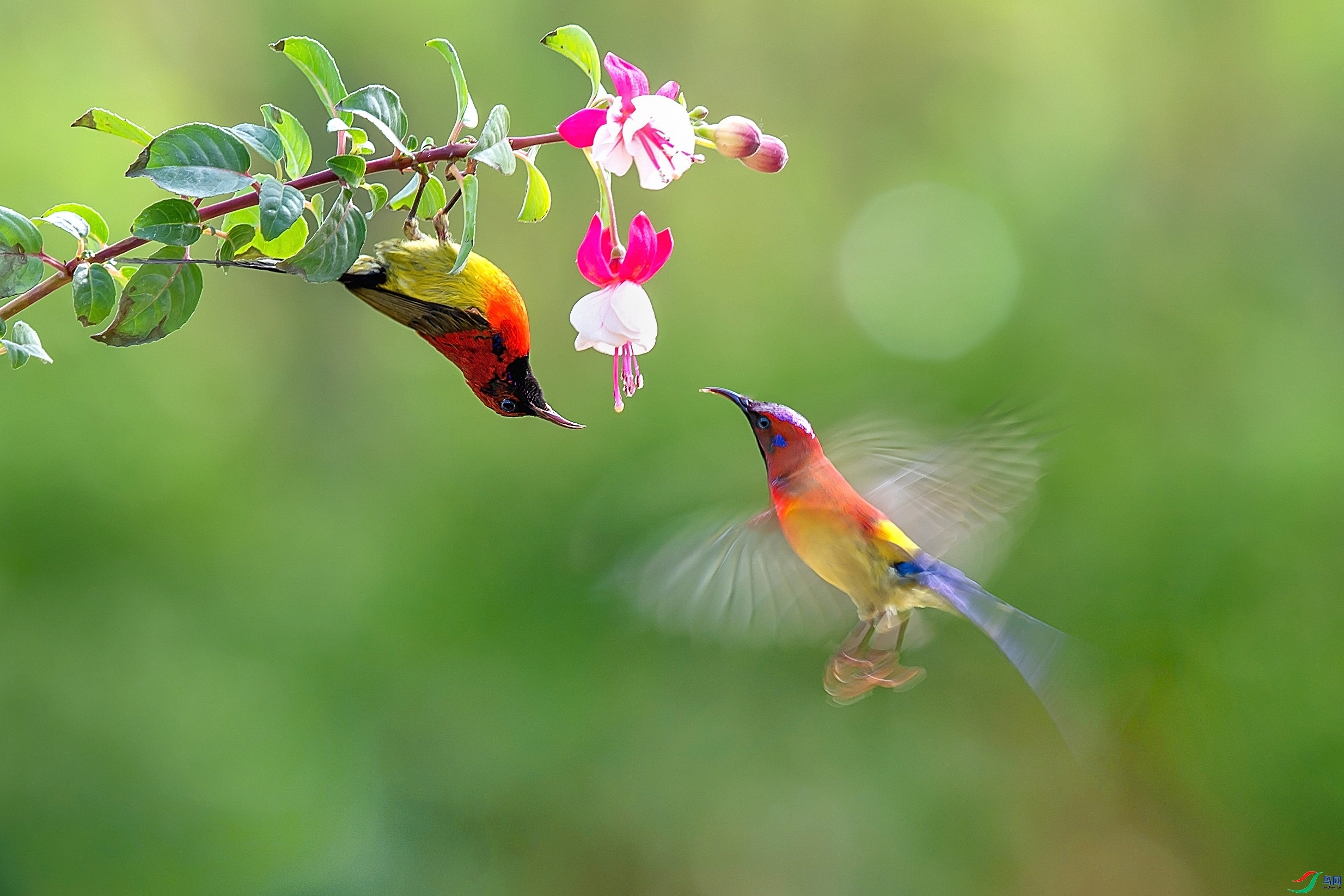 9.17����1183��ʦ��Ʒ   �ж��о�   �ٻ�2023��9��17����ҳ����.jpg