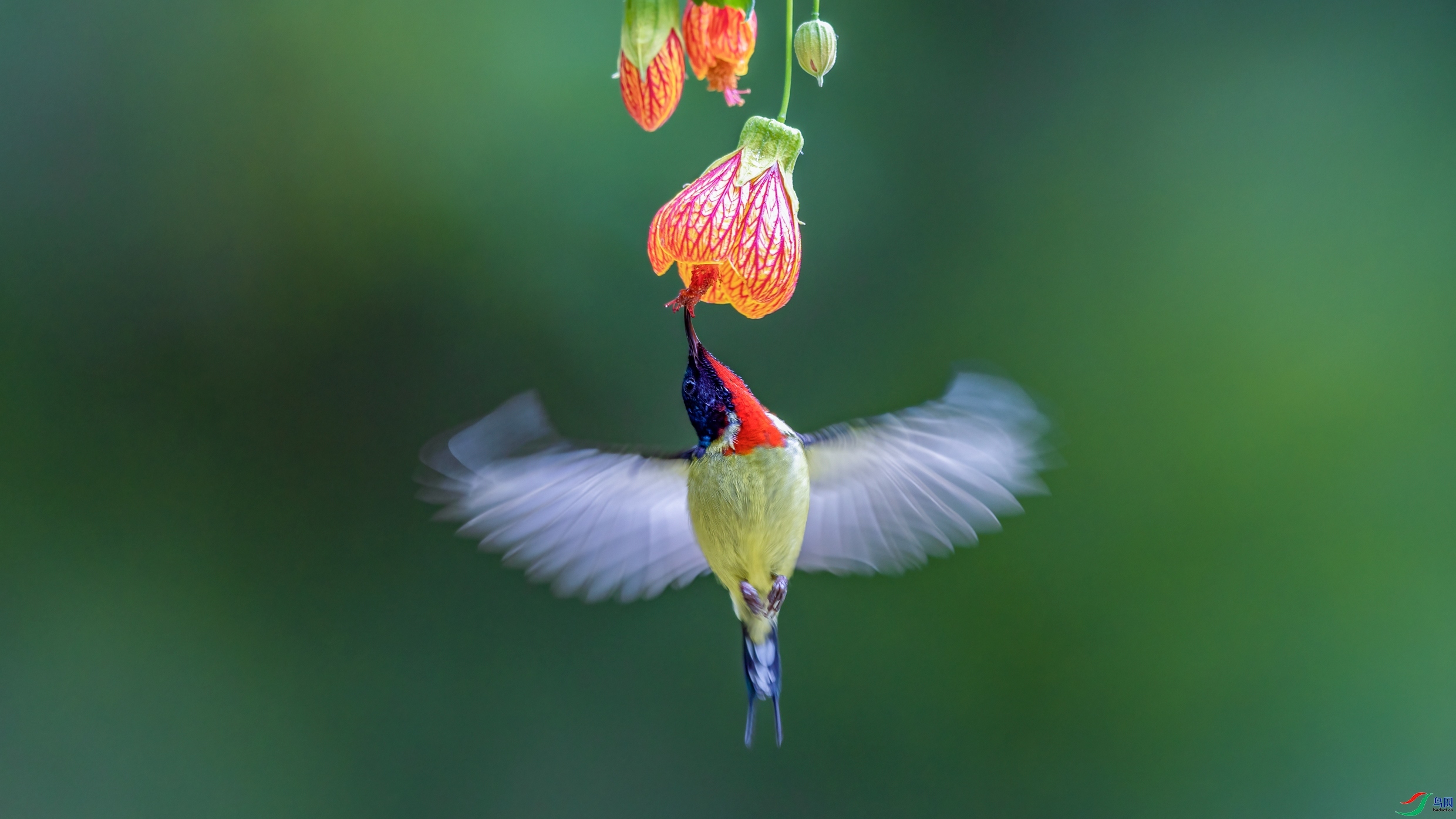 9.17Դ����Ȼ��ʦ��Ʒ  ��ʮ��֧�š�   �ٻ�2023��9��17����ҳ����.jpg