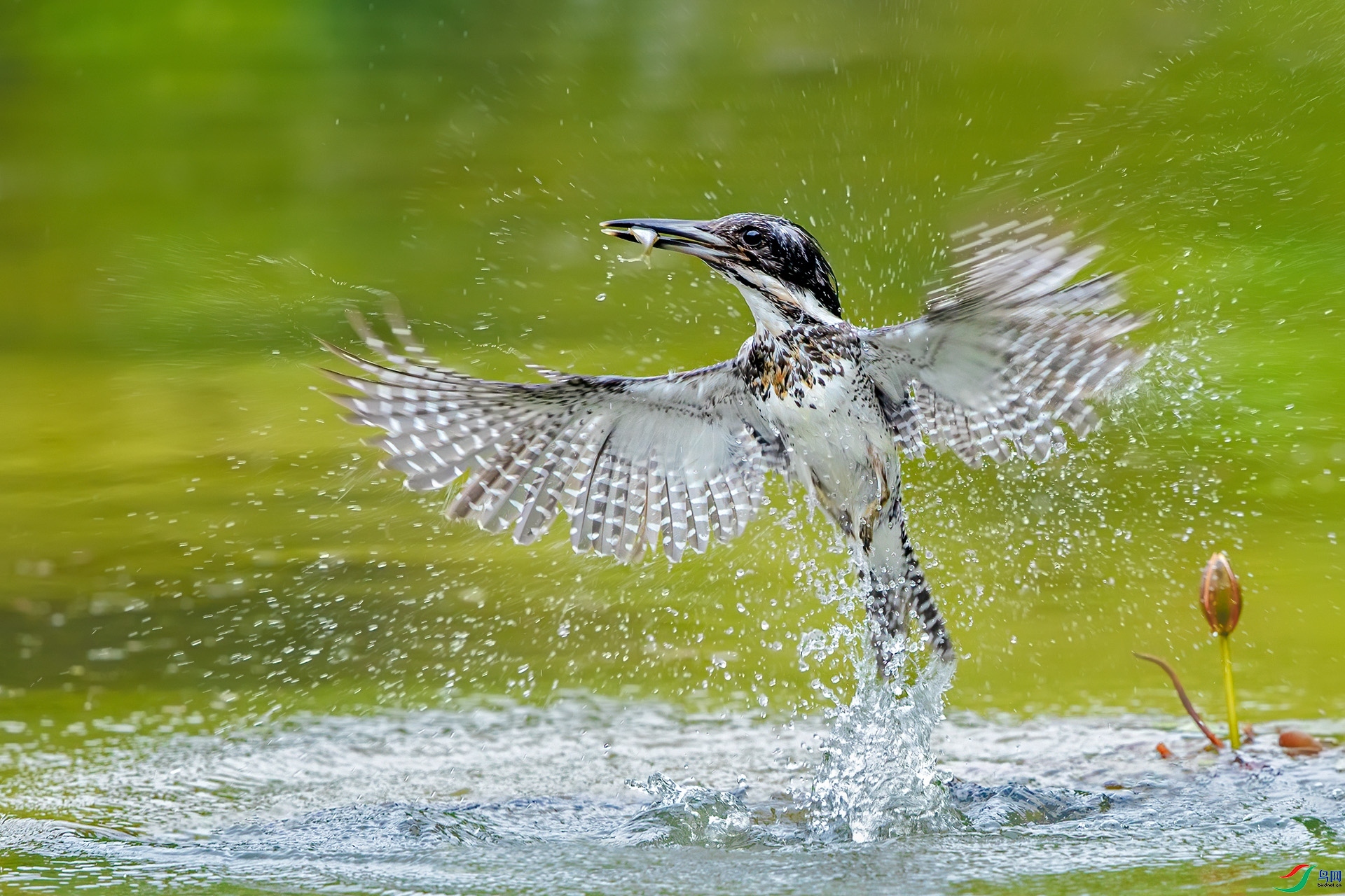 9.18�ɵ���ʦ��Ʒ   �������ջ�С   �ٻ�2023��9��18����ҳ����.jpg