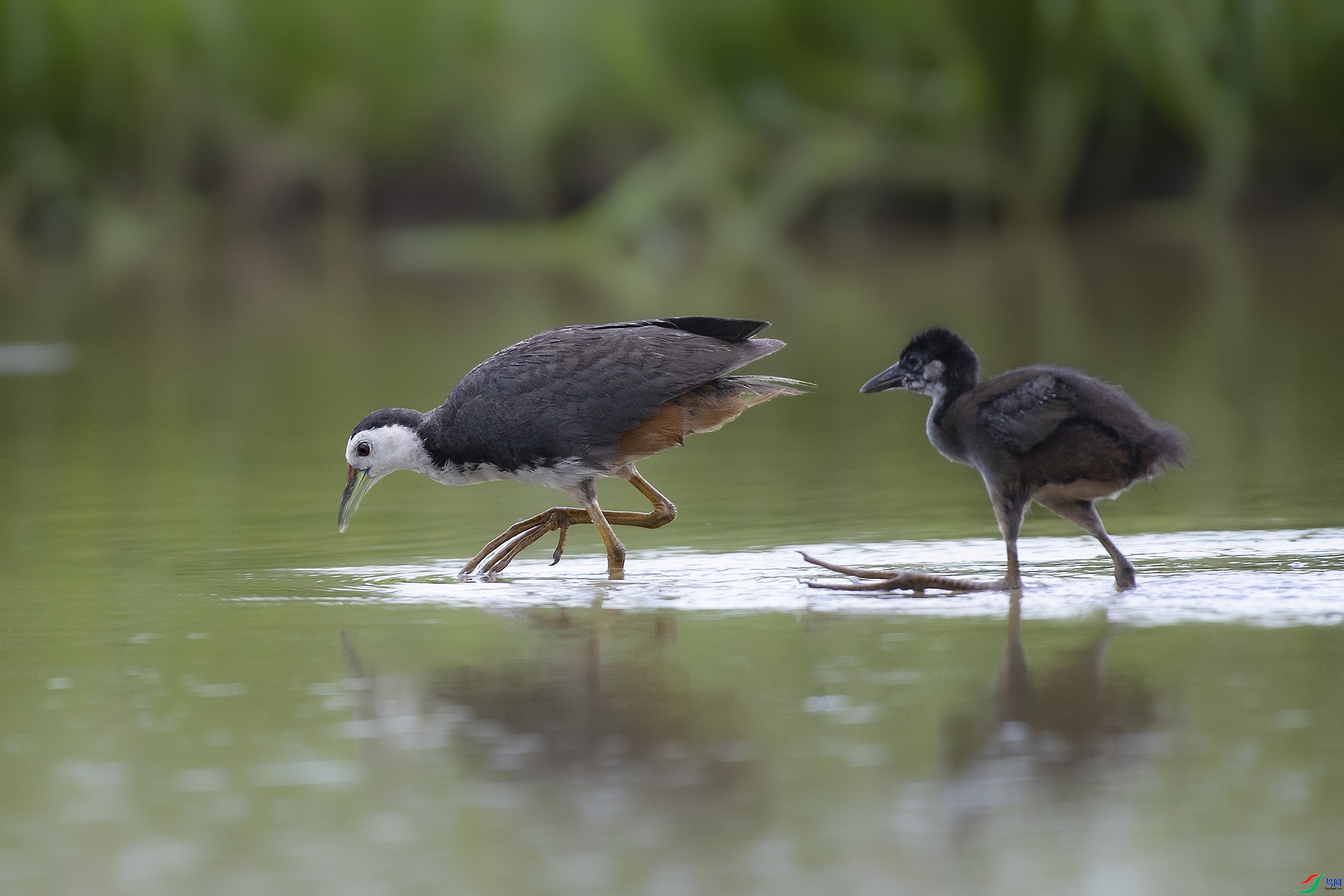 9.18���Լ����ʦ��Ʒ   һ��һС   �ٻ�2023��9��18����ҳ����.jpg