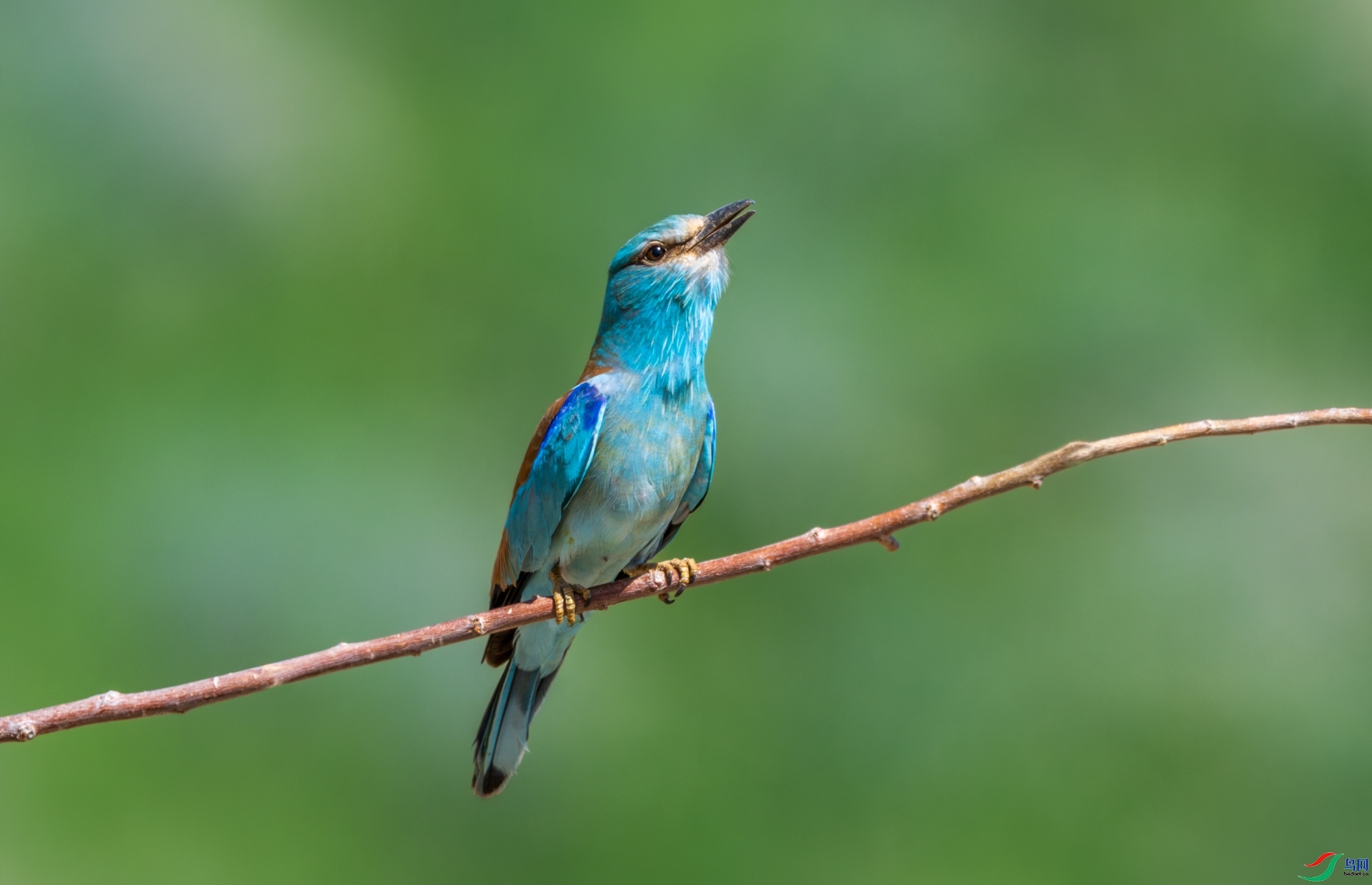 9.18������ͯ��ʦ��Ʒ   ��ɮ   �ٻ�2023��9��18����ҳ����.jpg