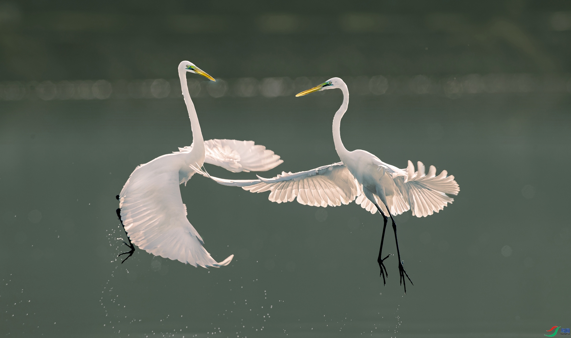 9.18������ʦ��Ʒ   �����ʺ�   �ٻ�2023��9��18����ҳ����.jpg