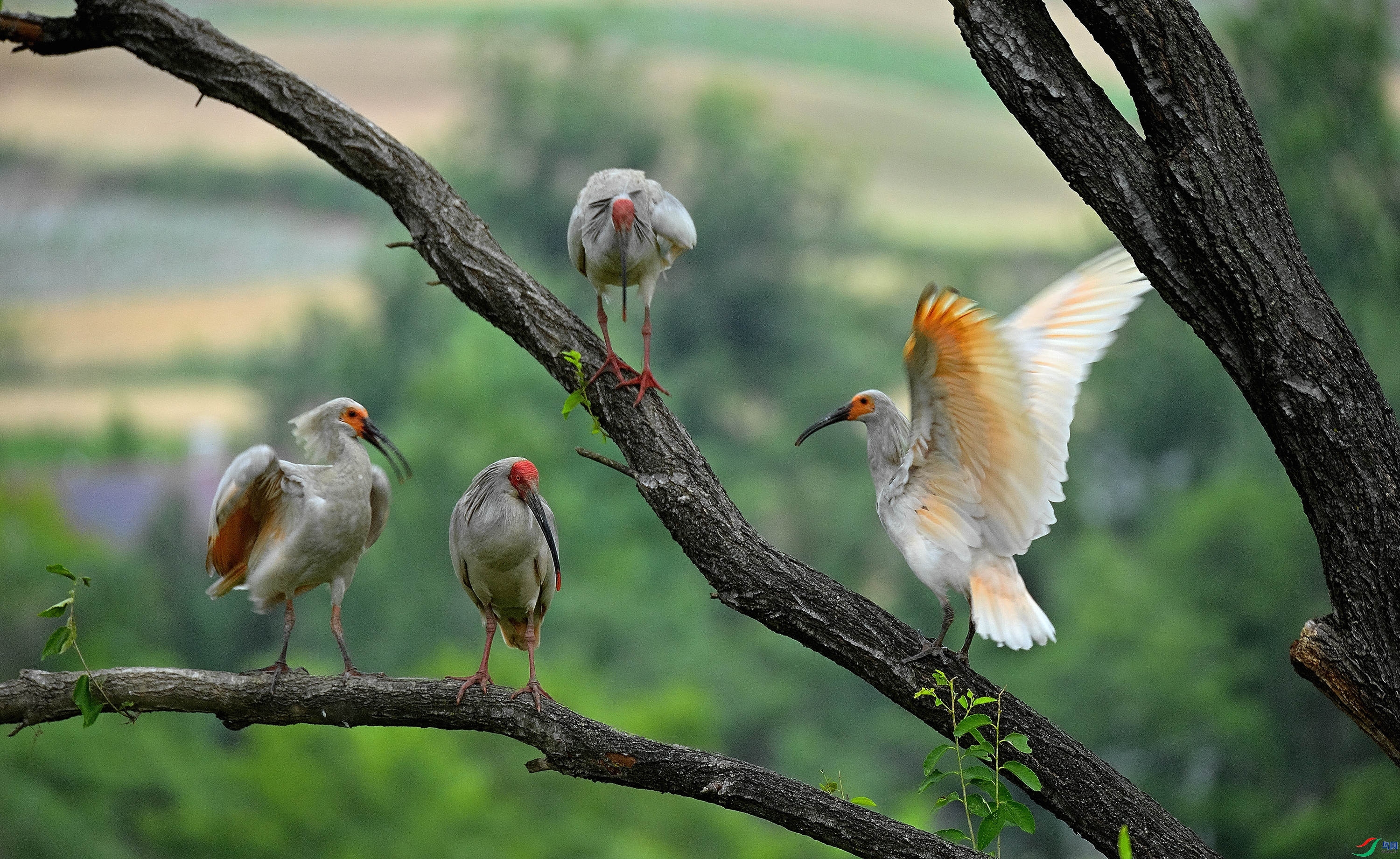 9.19��ˮԴͷ��ʦ��Ʒ   һ����   �ٻ�2023��9��19����ҳ����.jpg