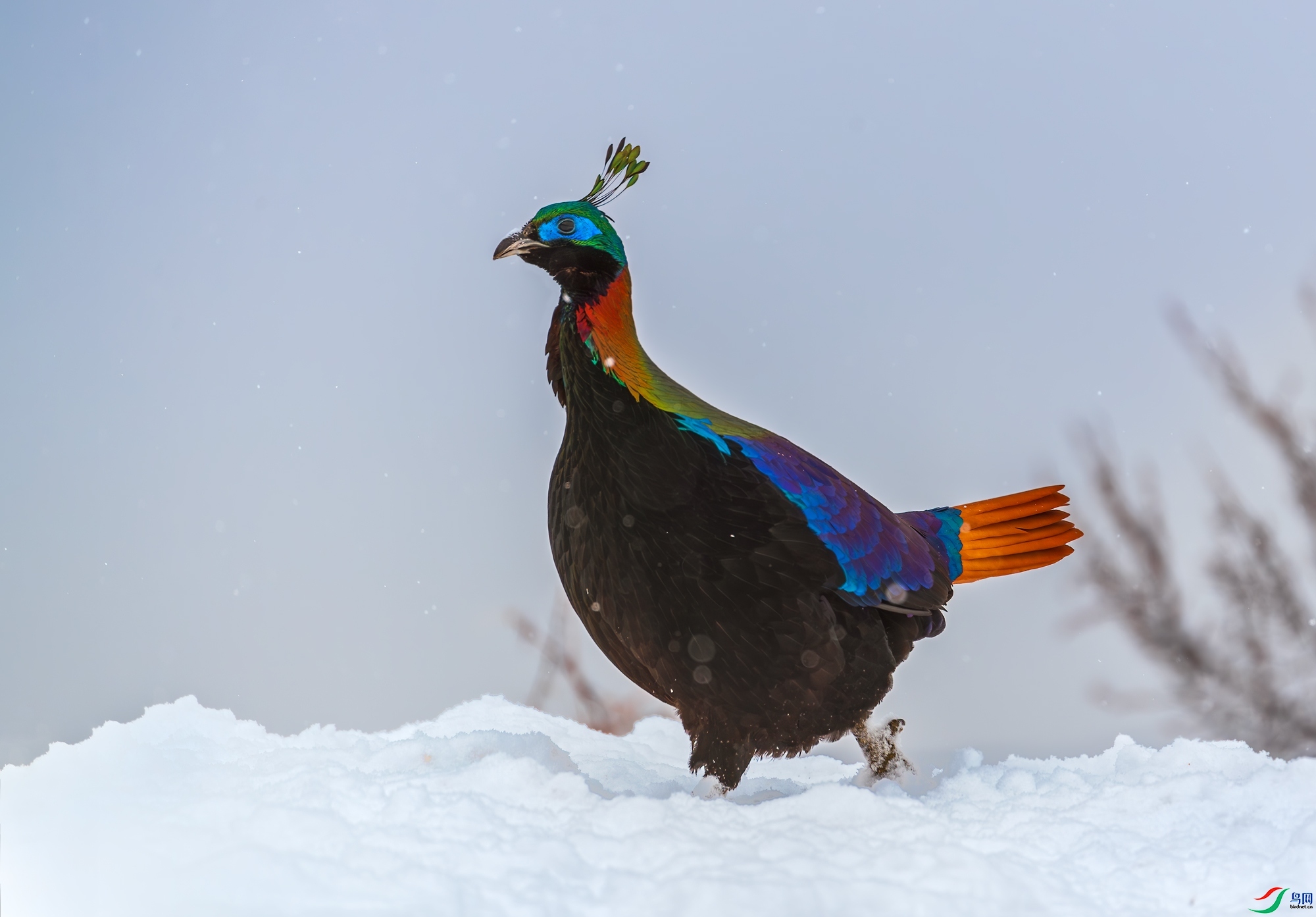 9.19������ͯ��ʦ��Ʒ   ������ǰ   �ٻ�2023��9��19����ҳ����.jpg