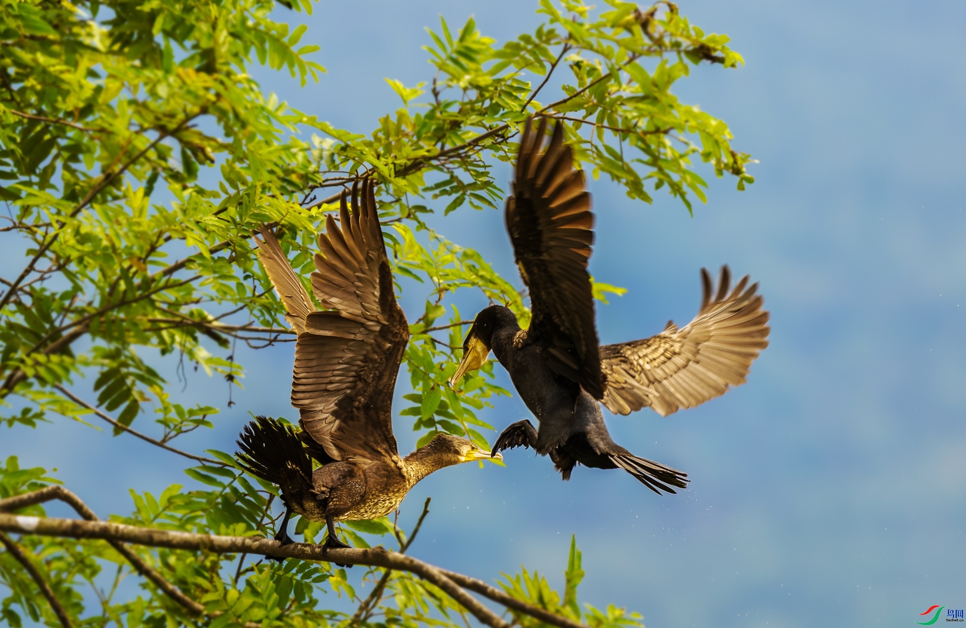 9.20������ͯ��ʦ��Ʒ   �� ��   �ٻ�2023��9��20����ҳ����.jpg