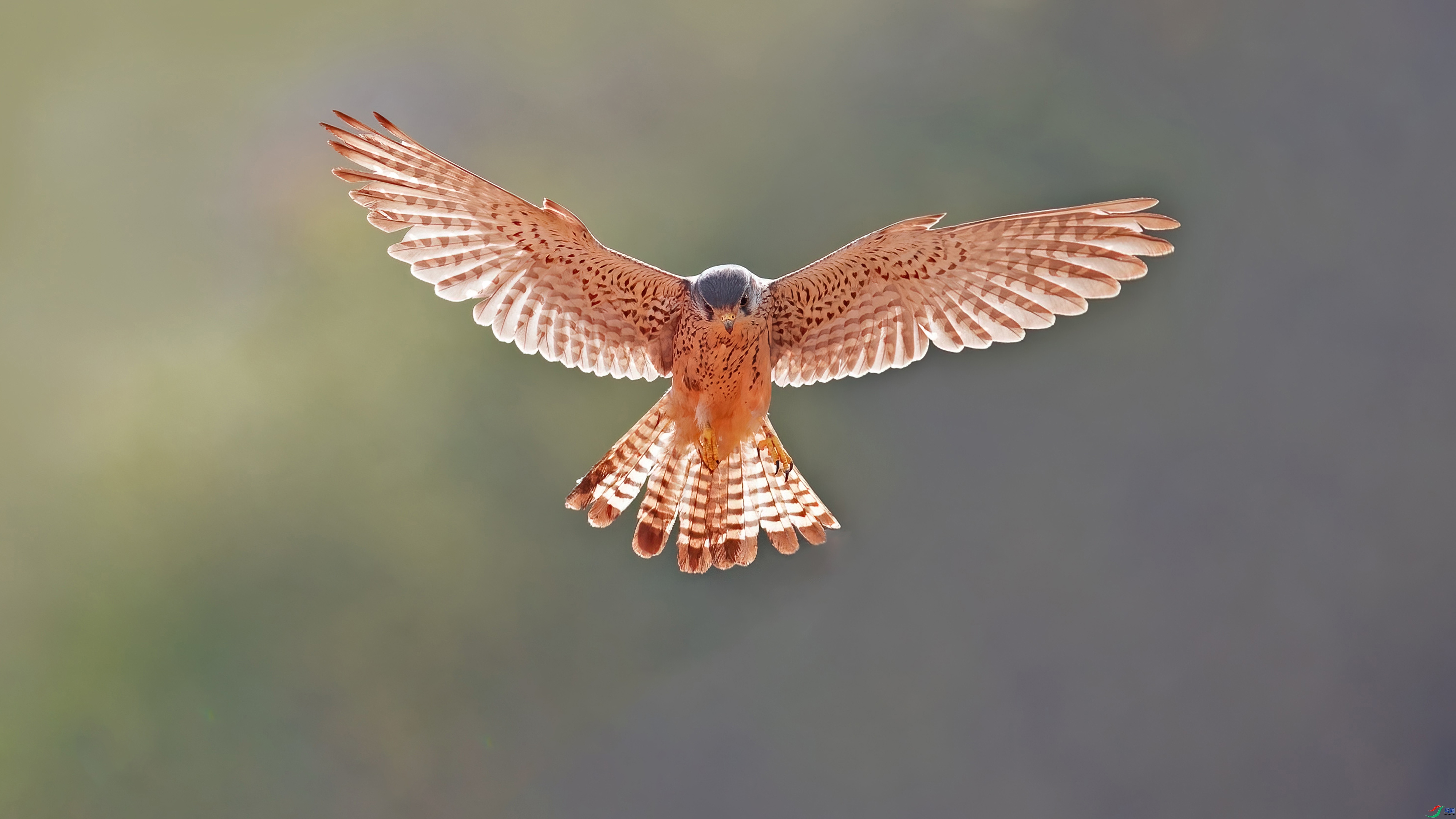 9.20С������ʦ��Ʒ   ��������   �ٻ�2023��9��20����ҳ����.jpg