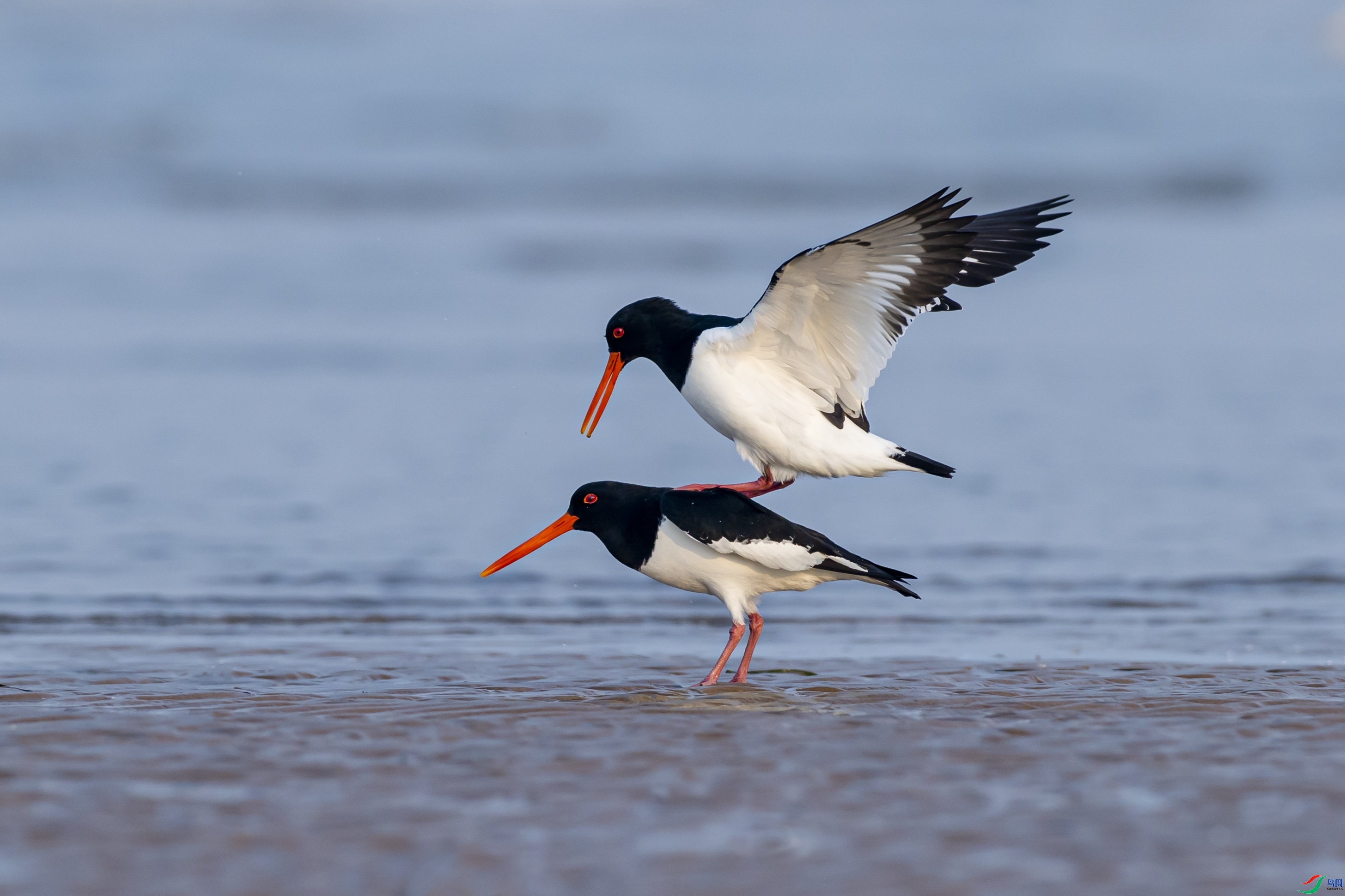 9.20ѧ������ʦ��Ʒ   ����   �ٻ�2023��9��20����ҳ����.jpg