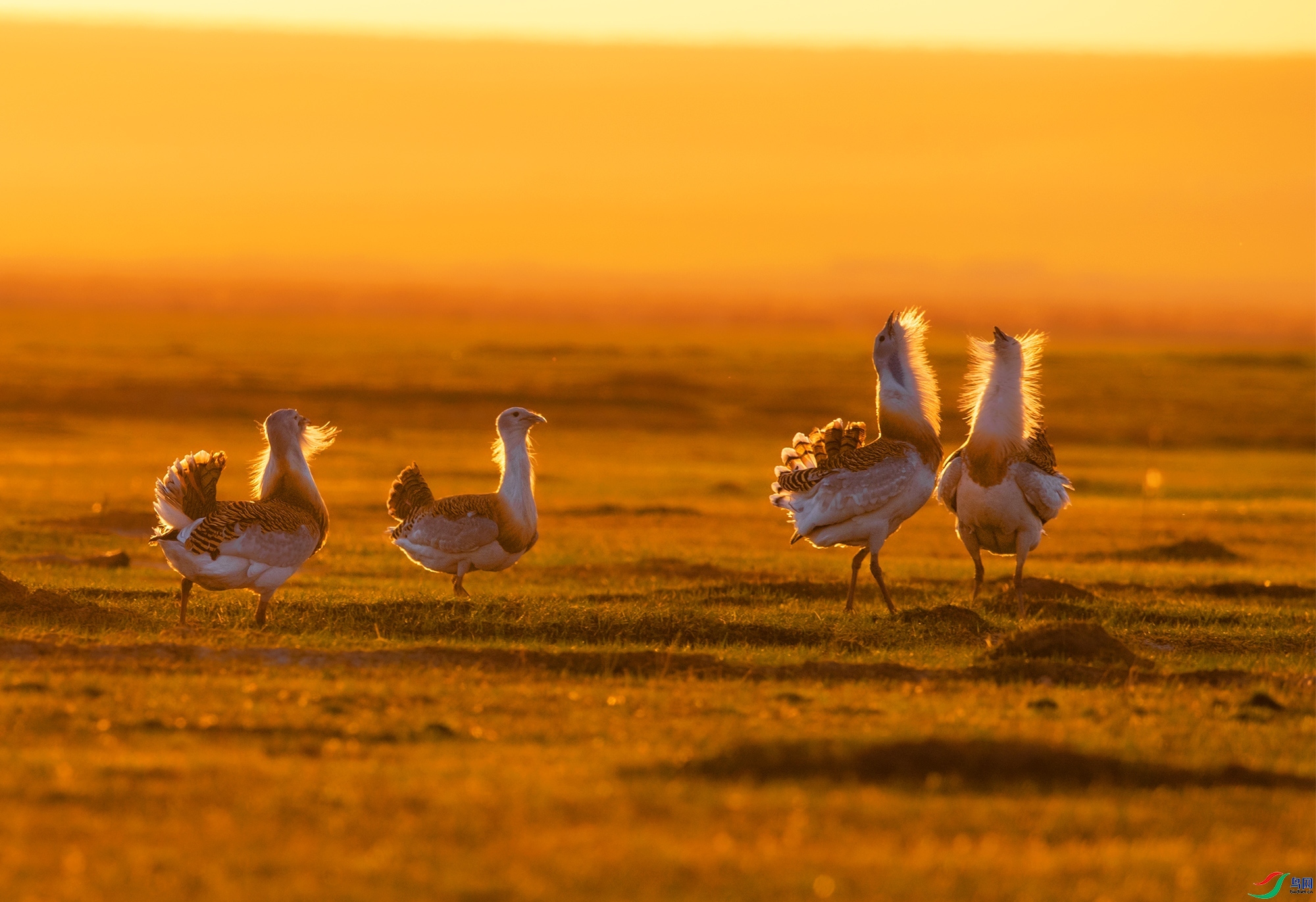 9.21���ݰ�������ʦ��Ʒ   ����   �ٻ�2023��9��21����ҳ����.jpg