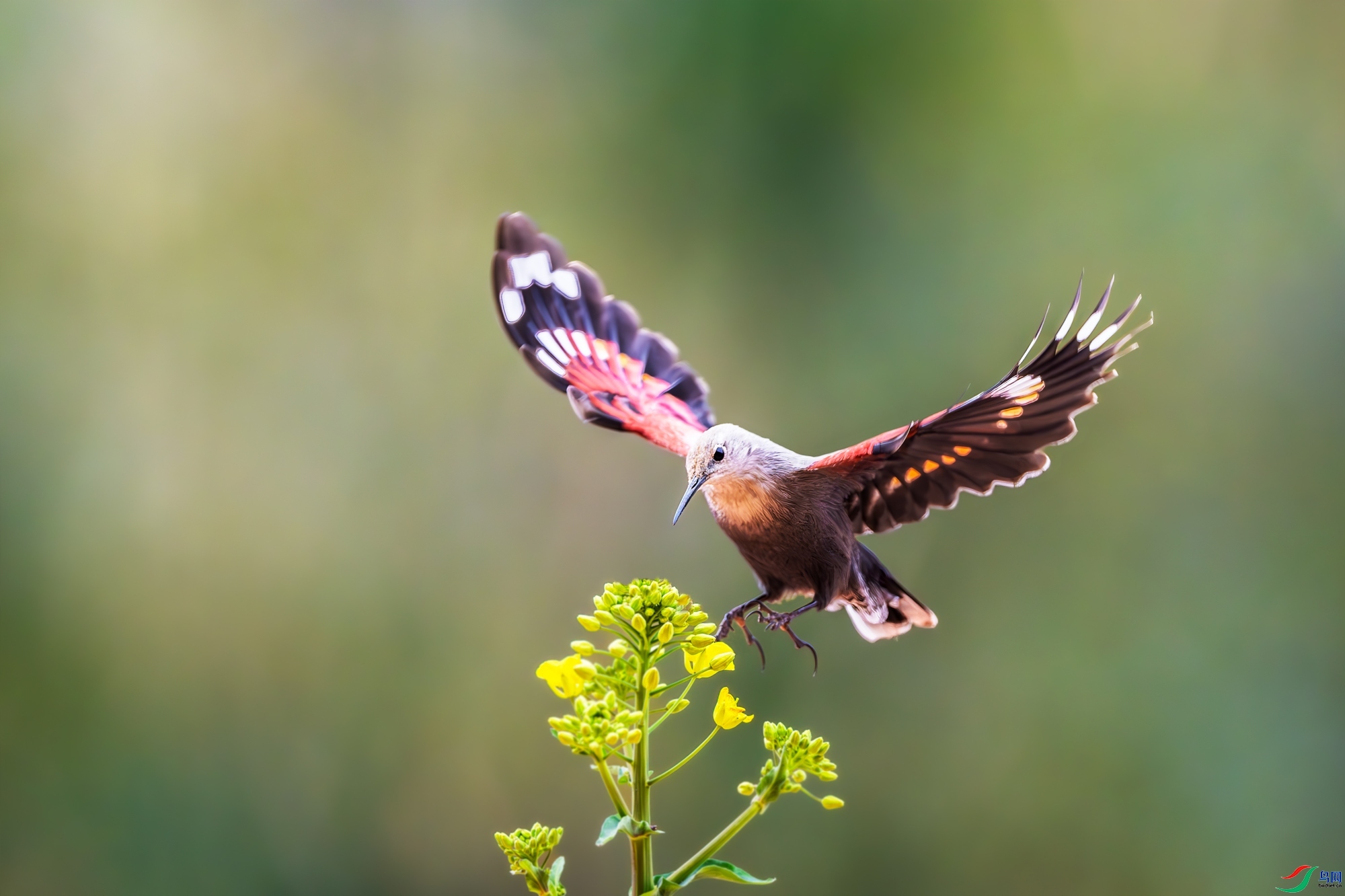 9.21������ͯ��ʦ��Ʒ   ����ȸ   �ٻ�2023��9��21����ҳ����.jpg