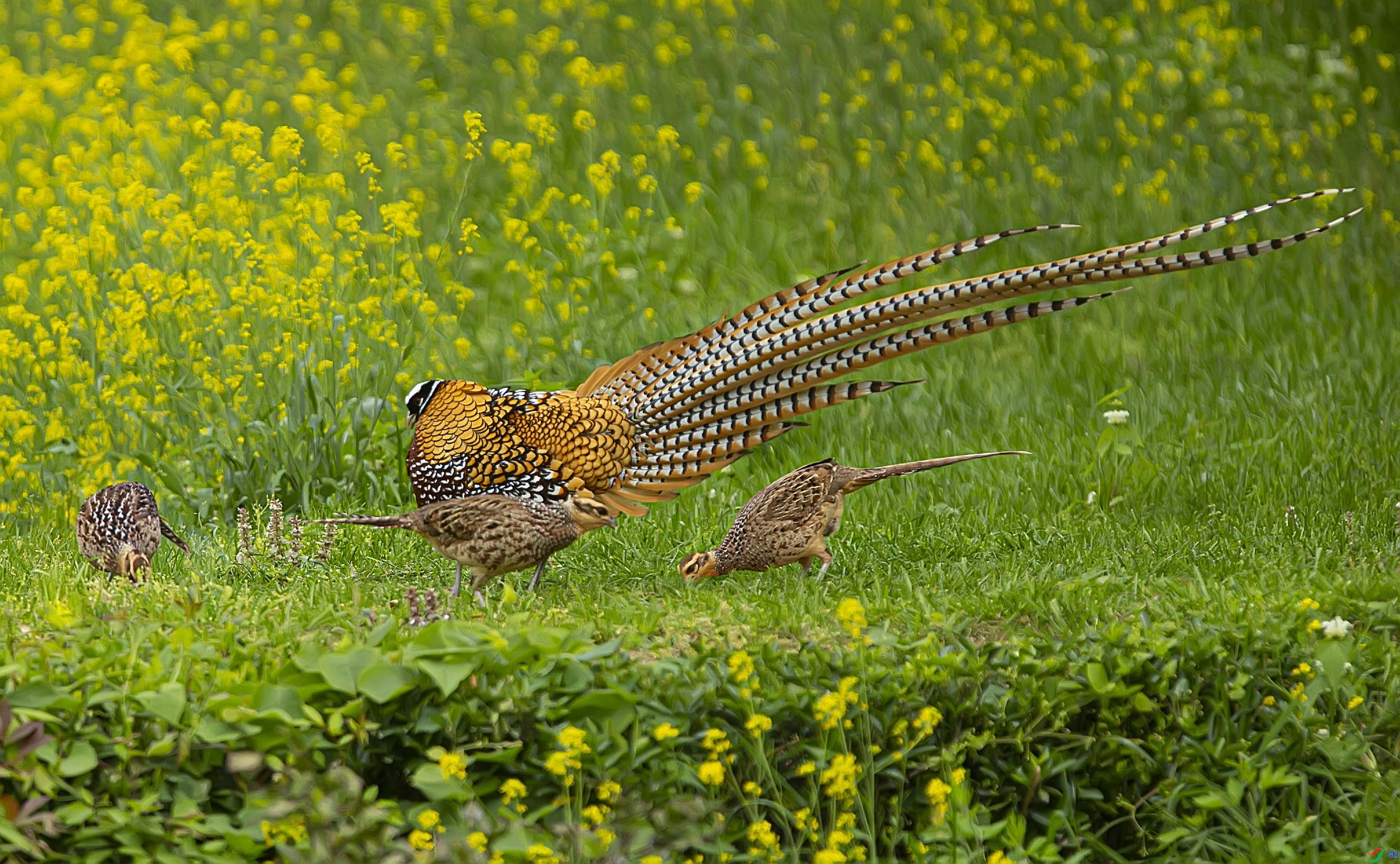 9.21��ɽ����ʦ��Ʒ   Ψ�Ҷ���   �ٻ�2023��9��21����ҳ����.jpg