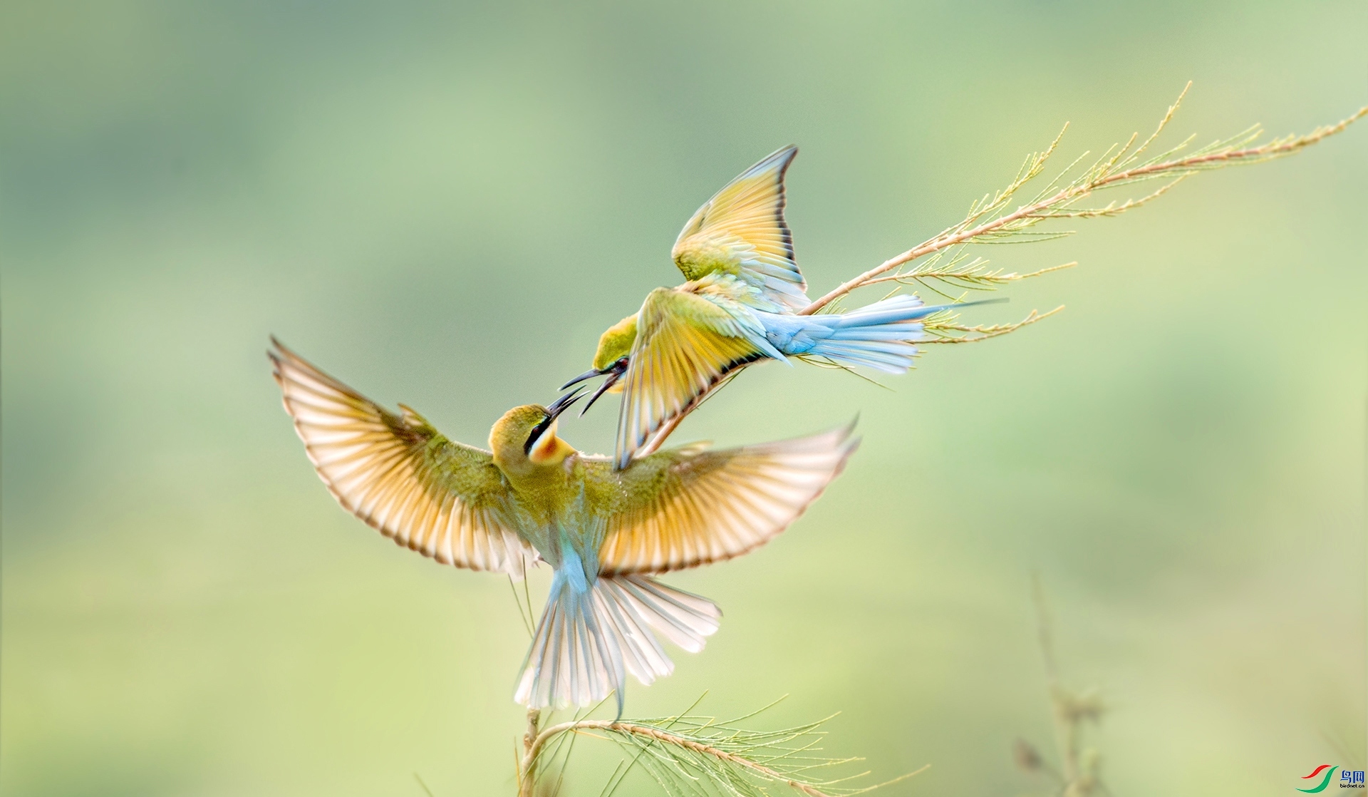 9.21������ʦ��Ʒ   ��������   �ٻ�2023��9��21����ҳ����.jpg