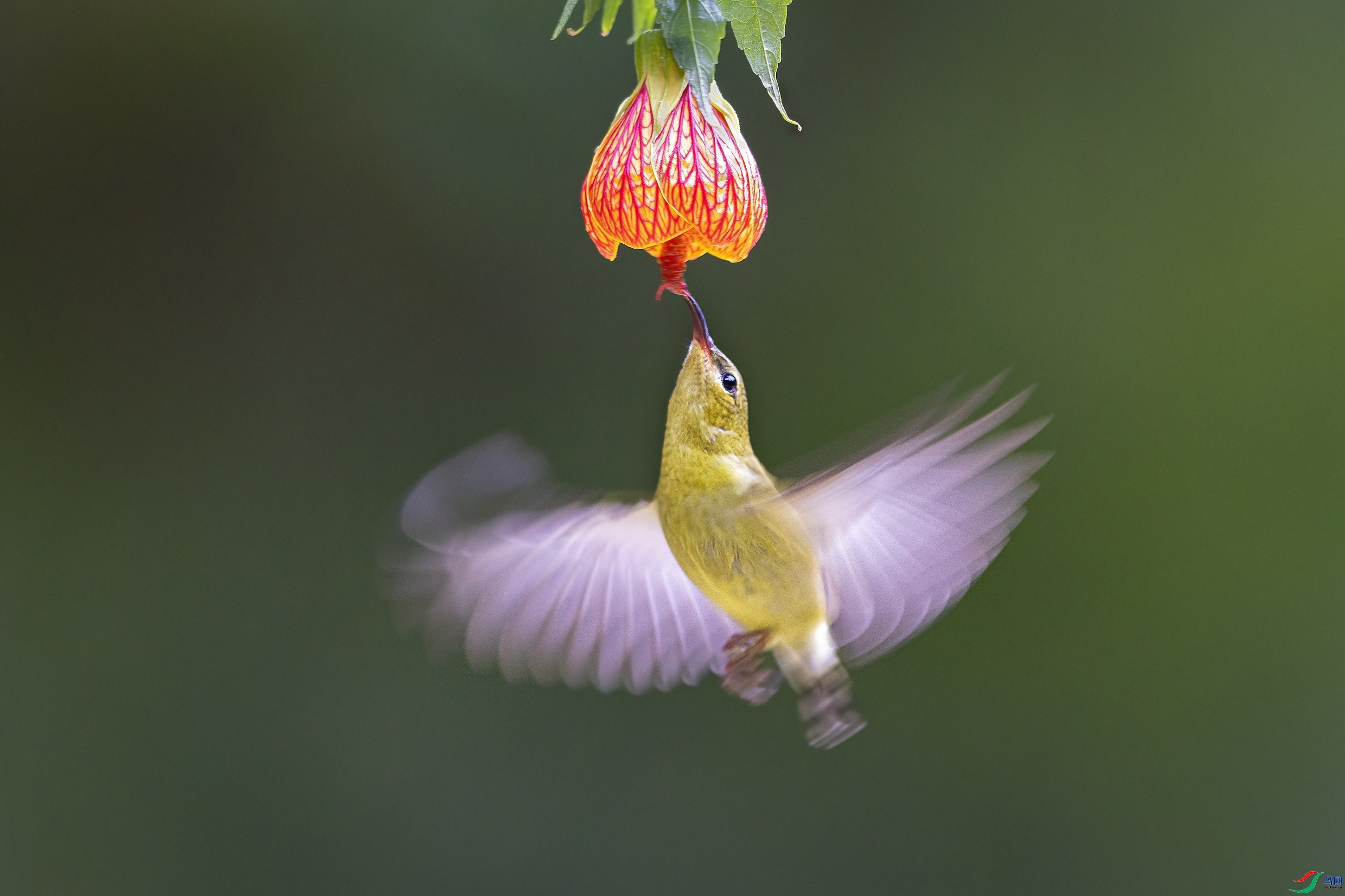 9.21Դ����Ȼ��ʦ��Ʒ���������졿 �ٻ�2023��9��21����ҳ����.jpg